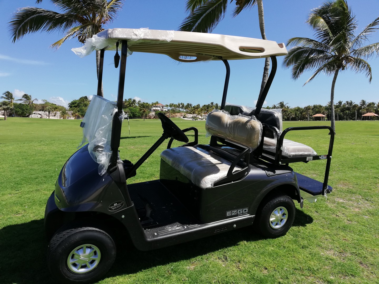 vehiculos recreativos - Carro de Golf , Carrito de Golf, Golf Cart