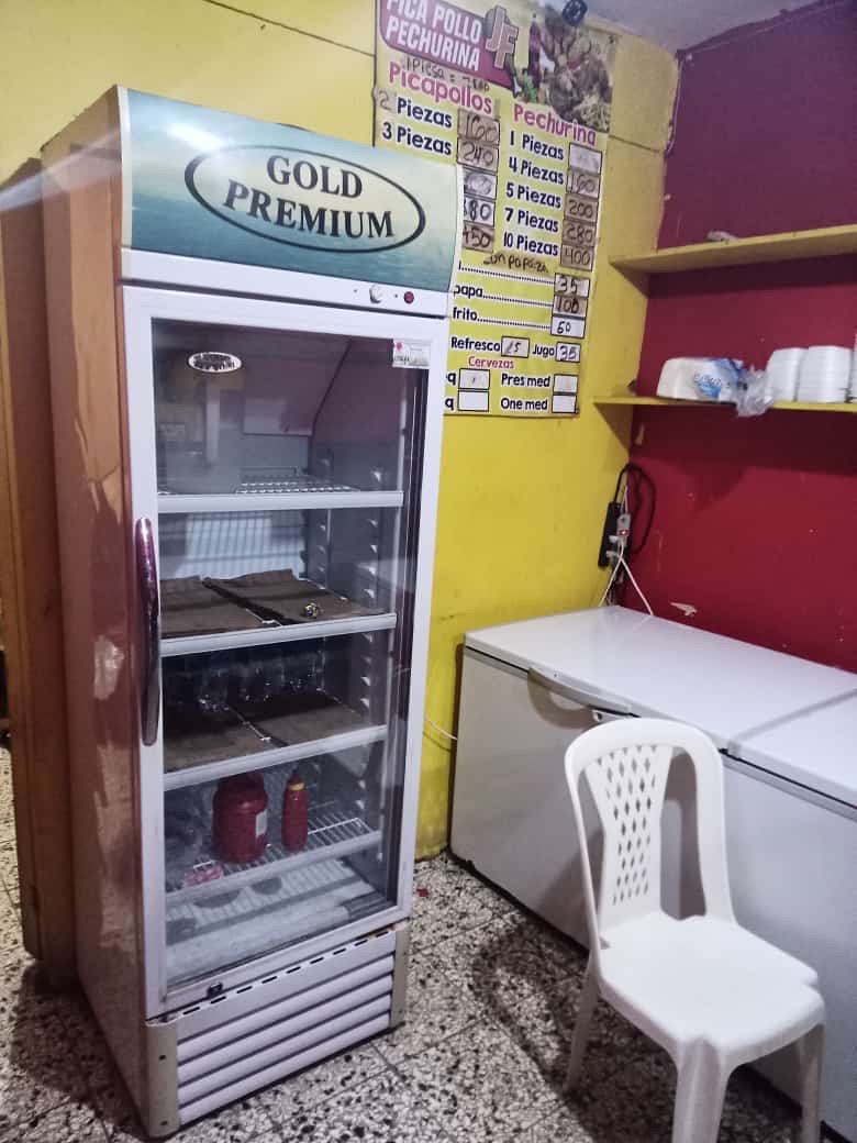 negocios en venta -  todo para poner un negocioVitrina ExtractoFreidora Freezer Exhibidos mesa 2