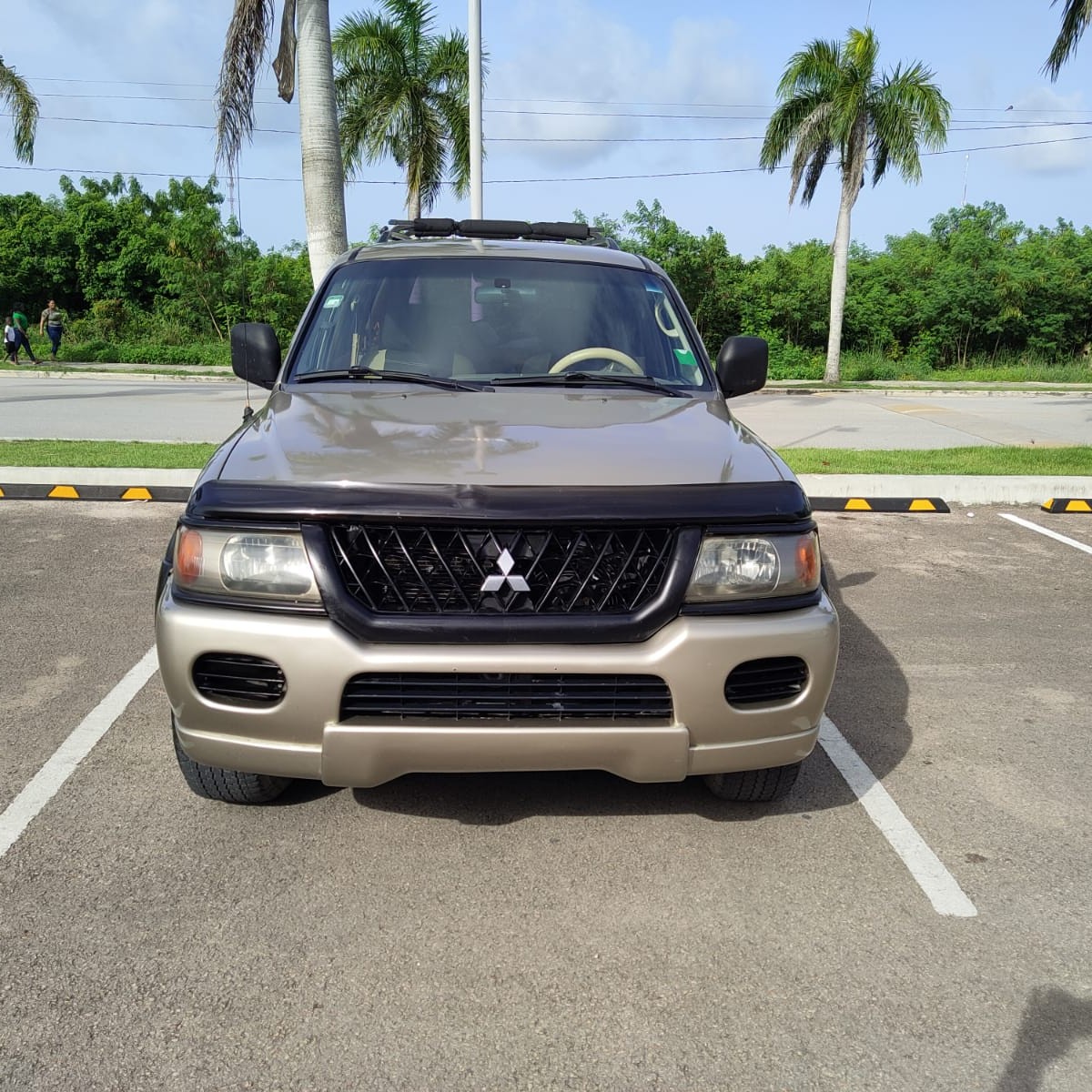 jeepetas y camionetas - mitsubishi montero sport 2003