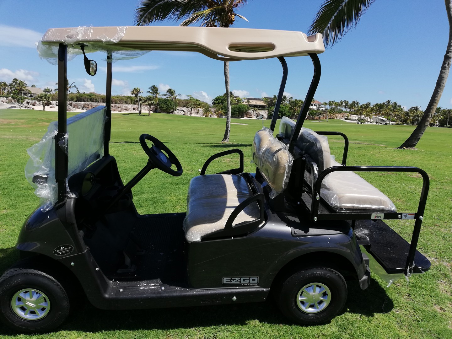 vehiculos recreativos - Carro de Golf , Carrito de Golf, Golf Cart 1