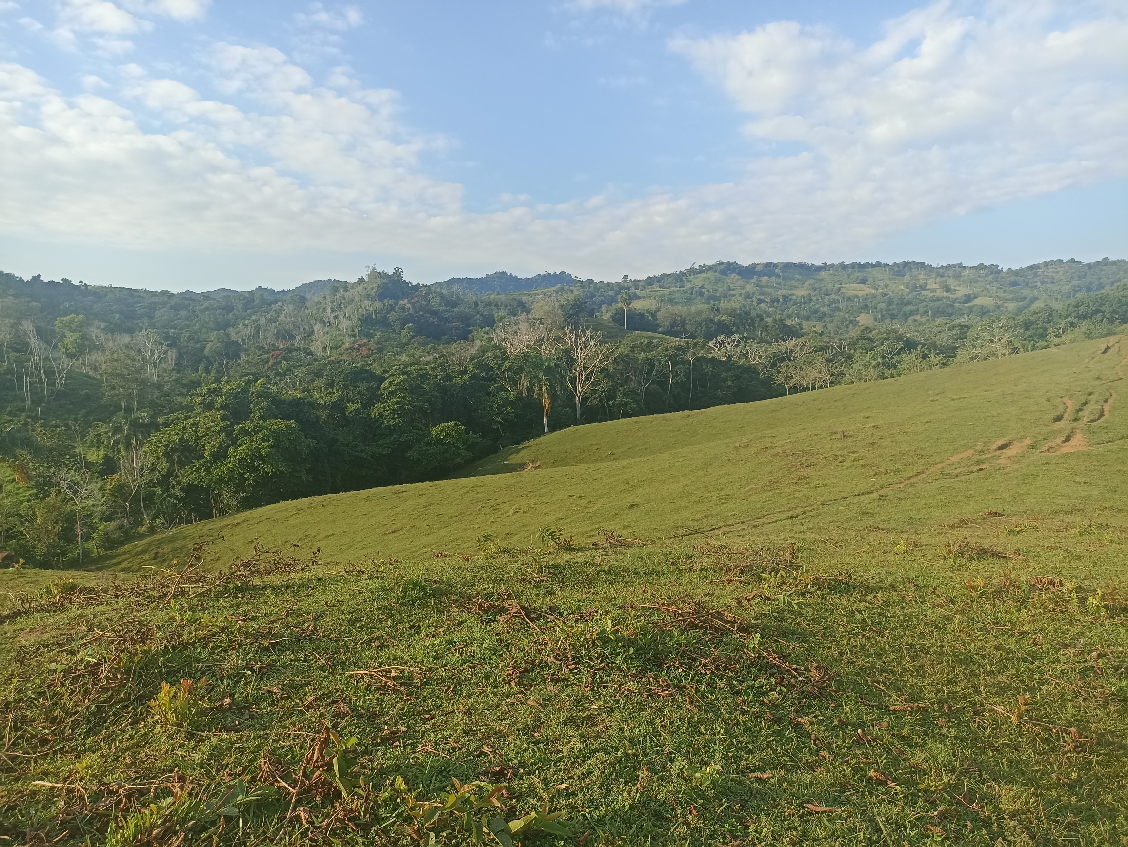 solares y terrenos - Finca ganadera a las afueras de la ciudad con agua a buen precio  3