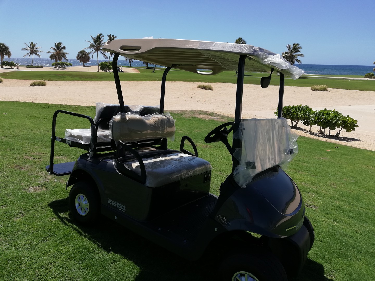 vehiculos recreativos - Carro de Golf , Carrito de Golf, Golf Cart 2