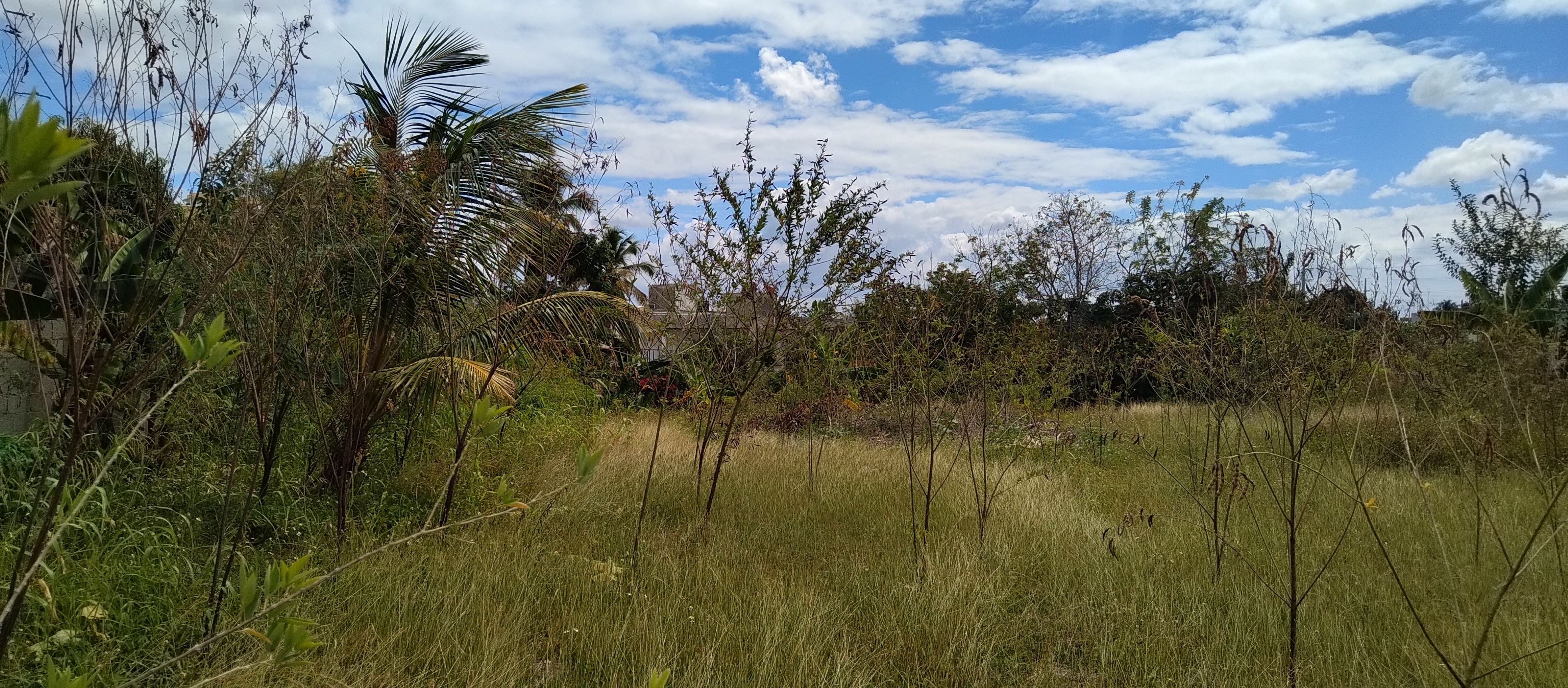 solares y terrenos - Terreno con un área de 4,100M2, La Ciénaga, Km. 14