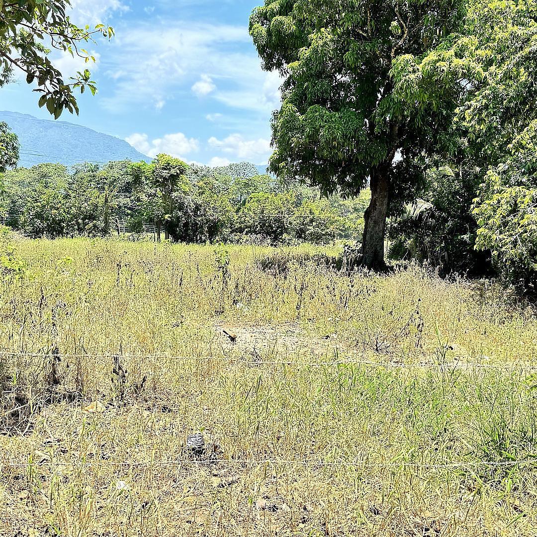 solares y terrenos - VENDO SOLAR EN JARABACOA