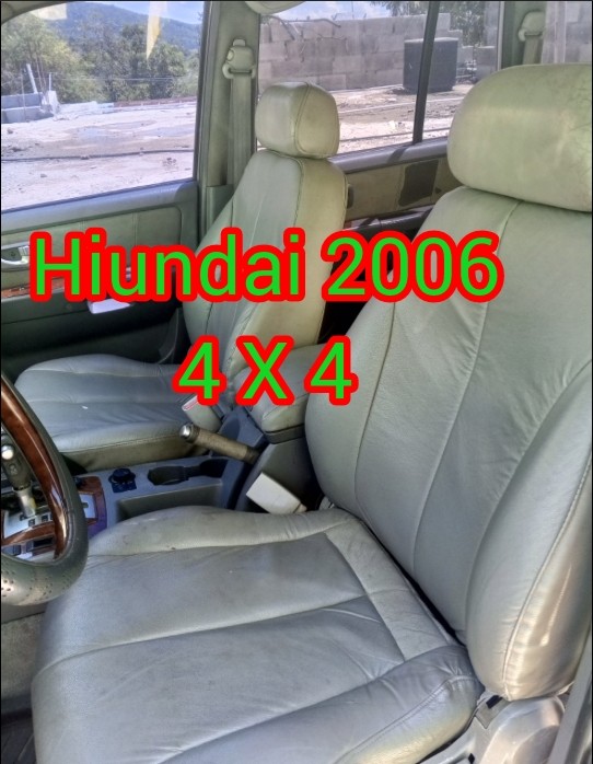 jeepetas y camionetas - Hyundai Terracan 2006 $320 San Cristóbal  9