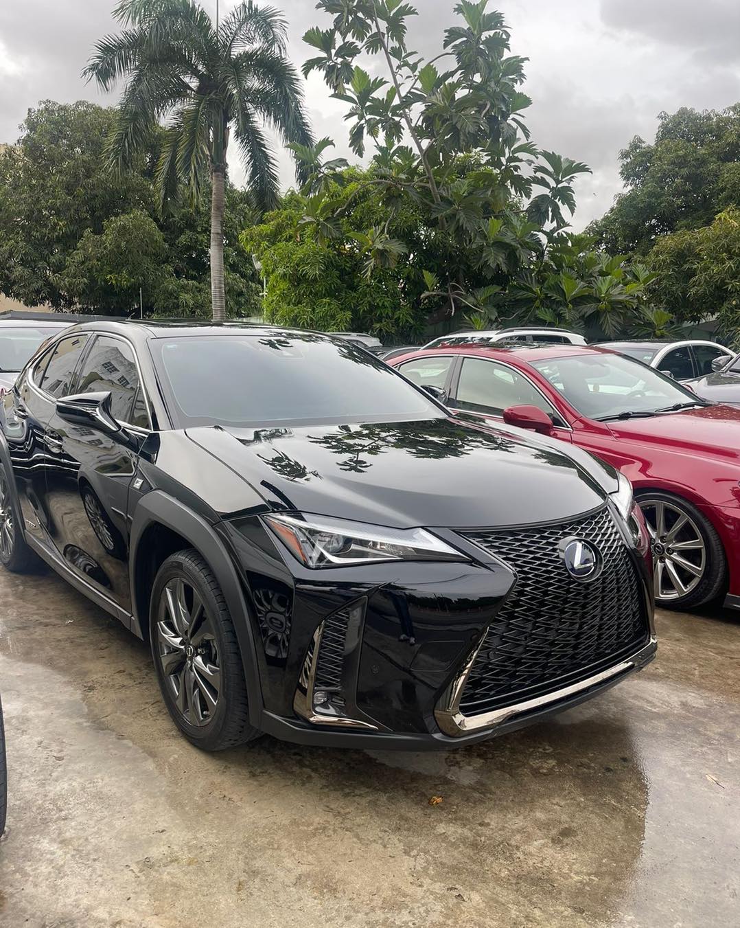 jeepetas y camionetas - LEXUS UX250 F SPORT HIBRID 2022 4