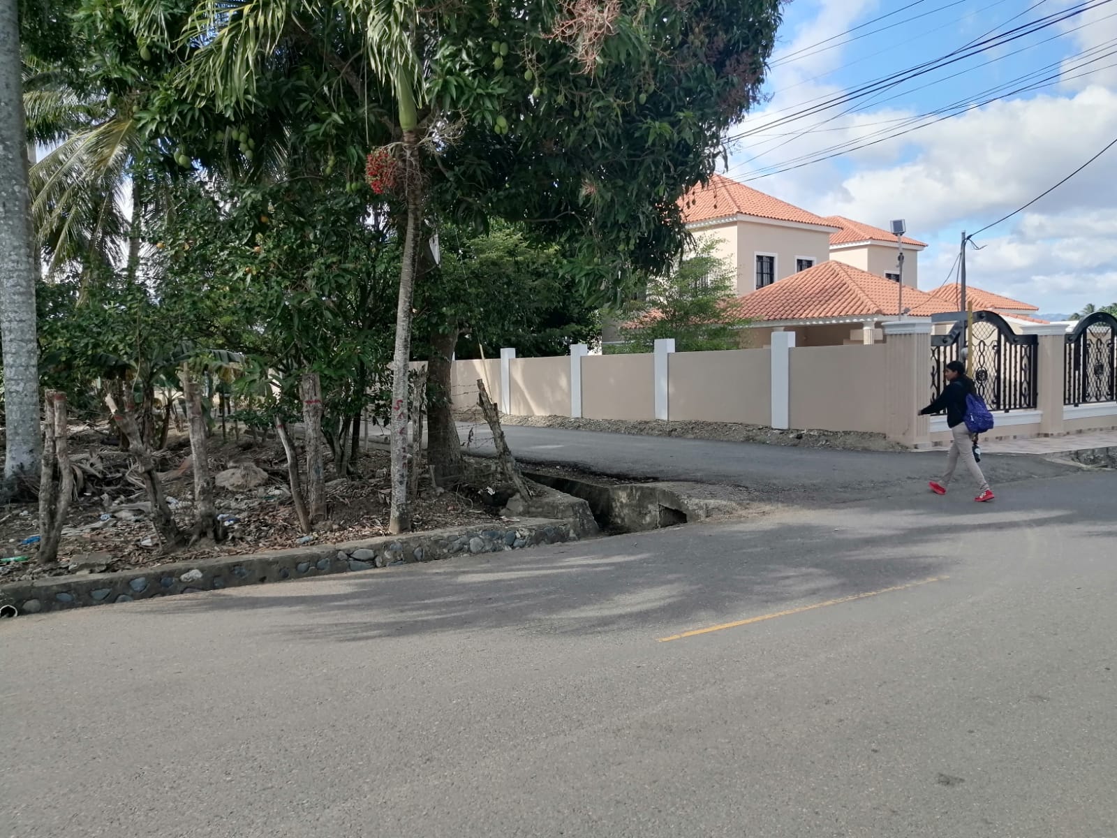 solares y terrenos - Solar en Guayabal, SANTIAGO, 1,239 Mts.2 en La AV. RAMON MARIANO GRULLON