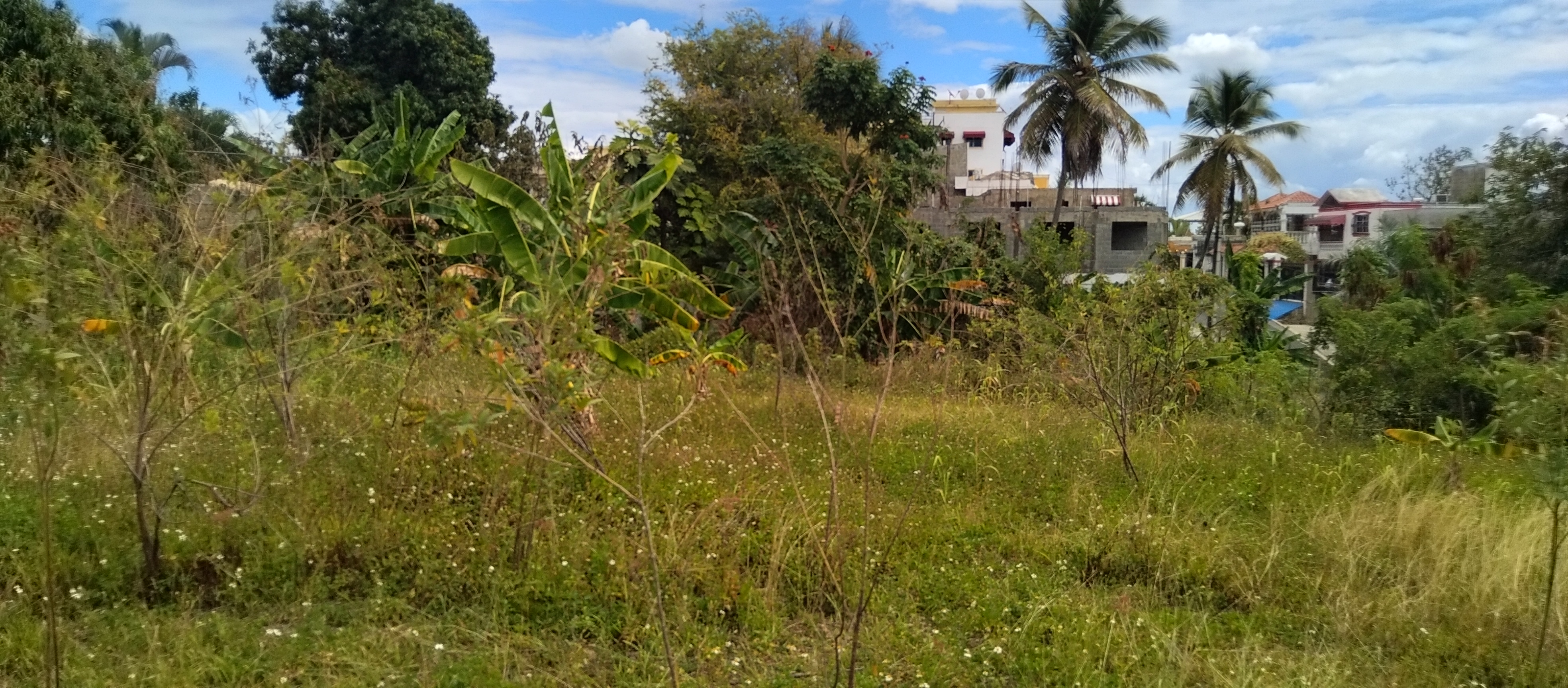 solares y terrenos - Terreno con un área de 4,100M2, La Ciénaga, Km. 14 1