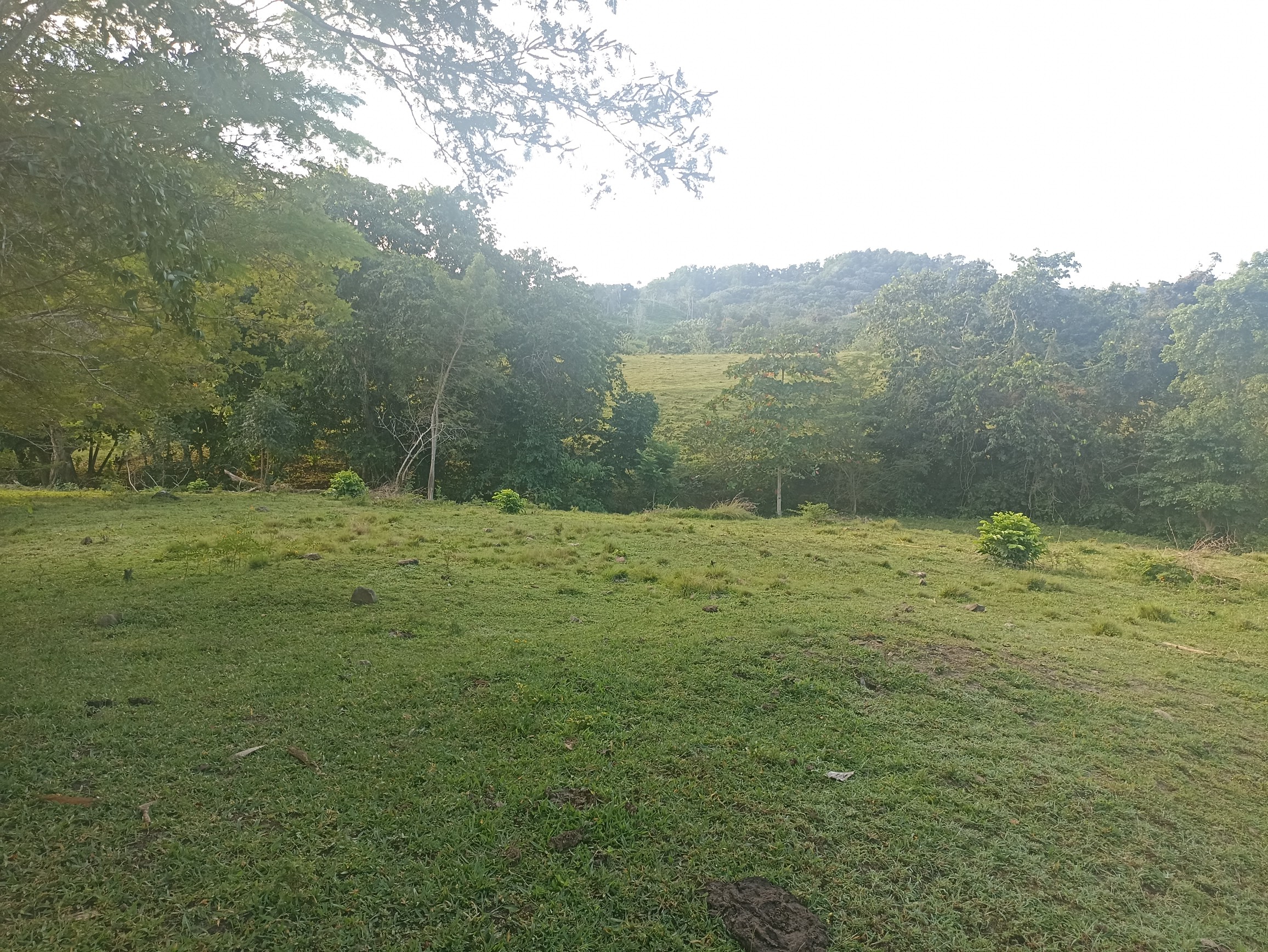 solares y terrenos - Finca ganadera a las afueras de la ciudad con agua a buen precio  6