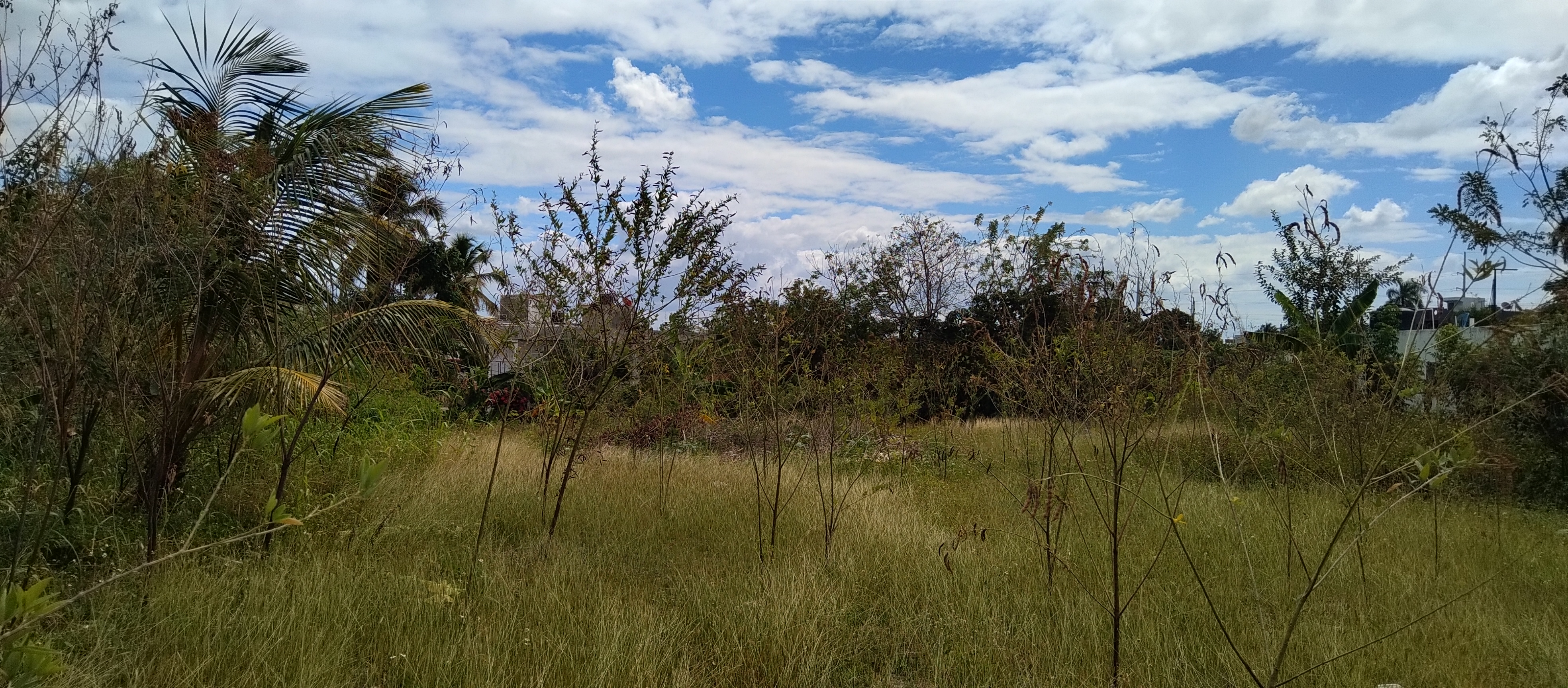 solares y terrenos - Terreno con un área de 4,100M2, La Ciénaga, Km. 14 2