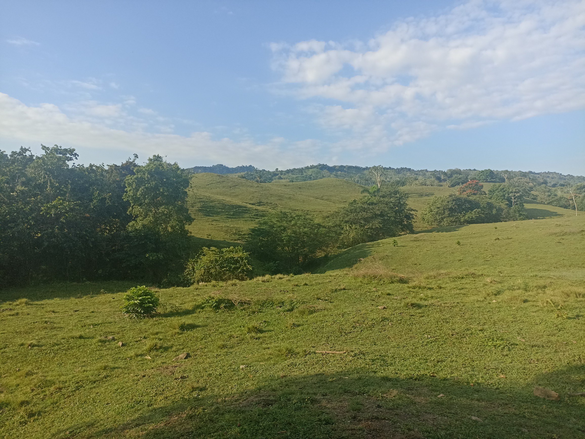 solares y terrenos - Finca ganadera a las afueras de la ciudad con agua a buen precio  7