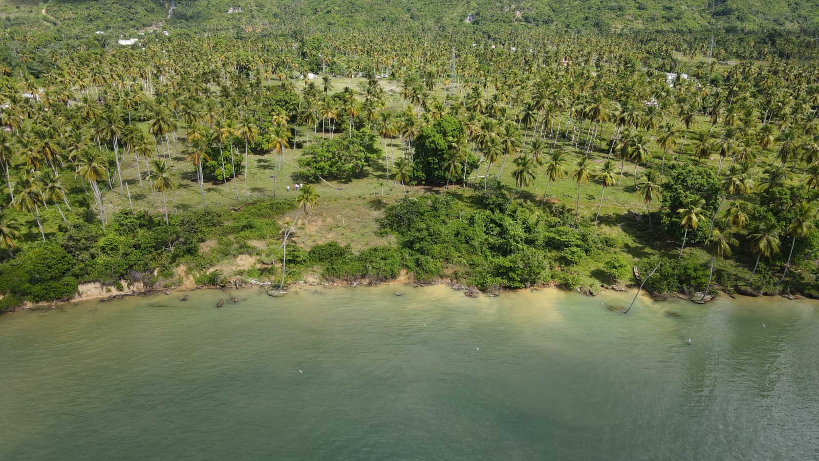 solares y terrenos -  Vendo   Terreno con 46,000.00 Mt2 en Samaná  1