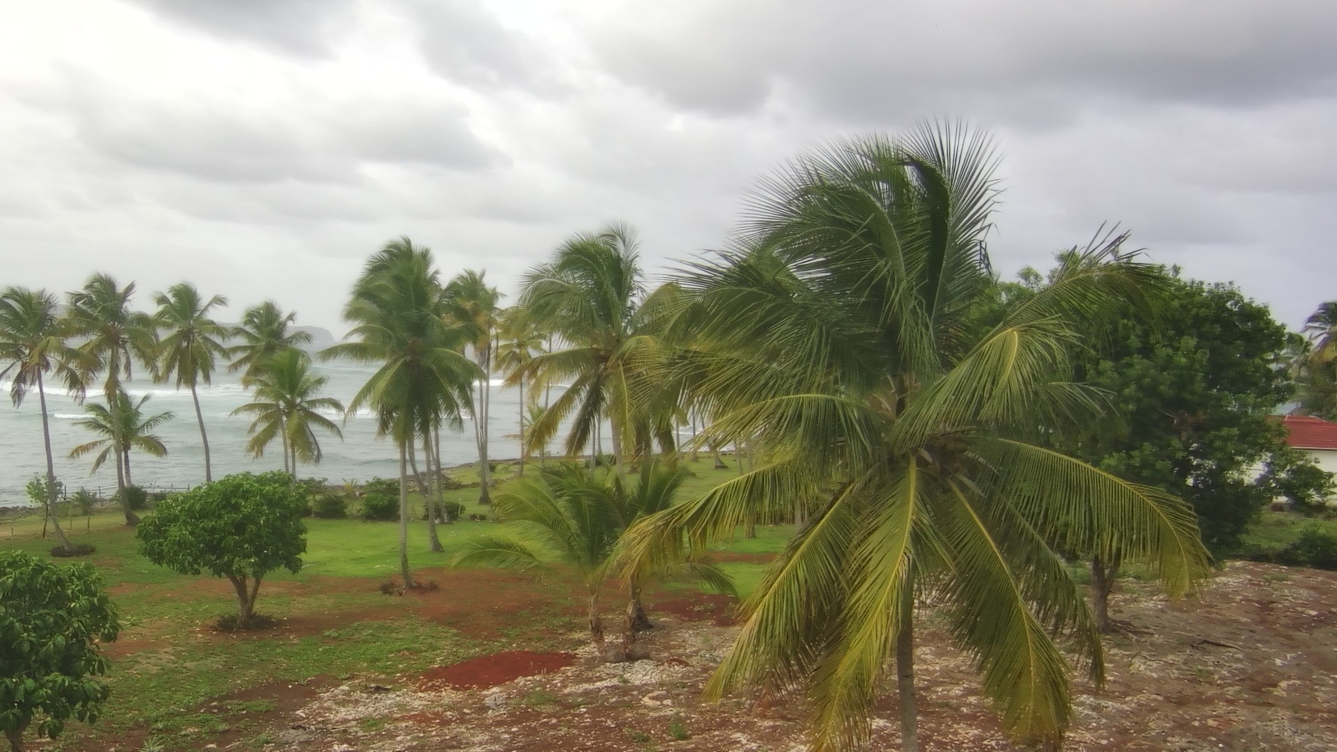 solares y terrenos - 6  lottes de tierra en Playa Boca Chiquita de Las Galeras 1