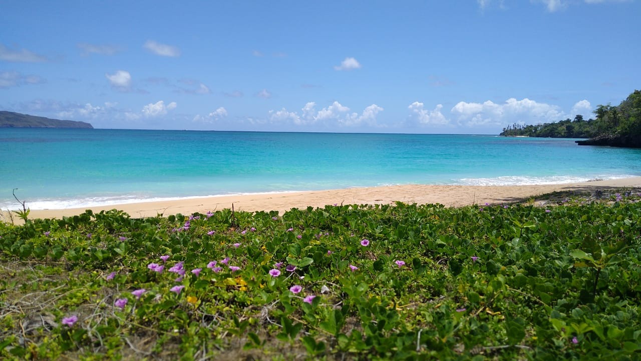 solares y terrenos - Solare in vendita a Playa Colorado, Samana 1