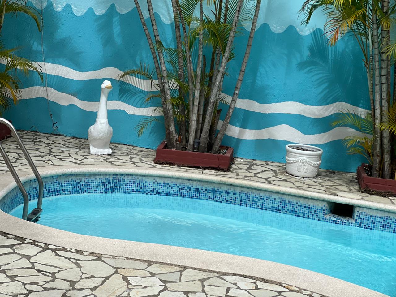 casas vacacionales y villas - Se alquila piscina para actividades (zona oriental 0