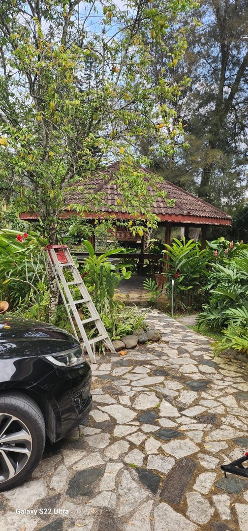 casas -  Vendo hermoso solar, con casa y dos cabañas en Jarabacoa es sin intermediarios 6