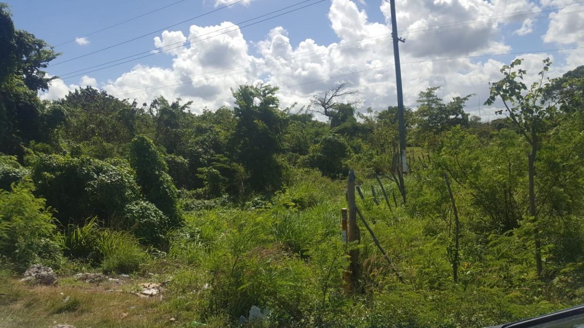 solares y terrenos - VENTA DE ENORME TERRENO UBICADO EN BÁVARO 3