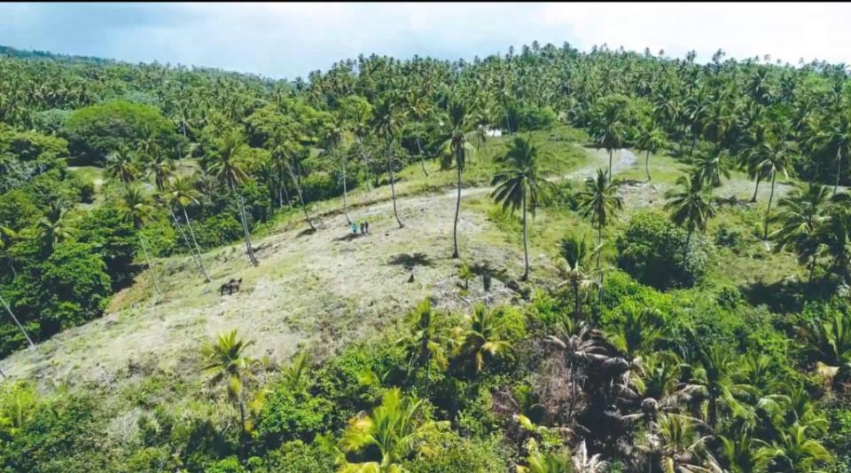 solares y terrenos - Terreno en Venta en LOMA DE LA PIÑA 1