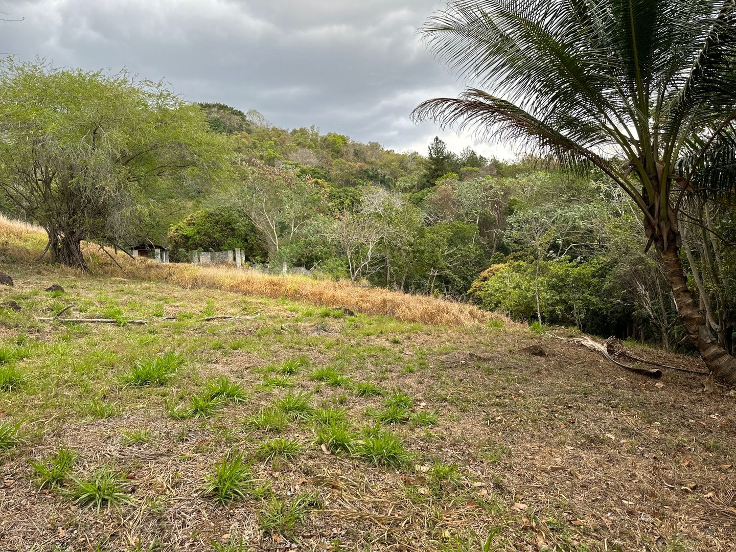 solares y terrenos - Solar de 5,000 m2 en Santo Domingo, Vacacional Matua 