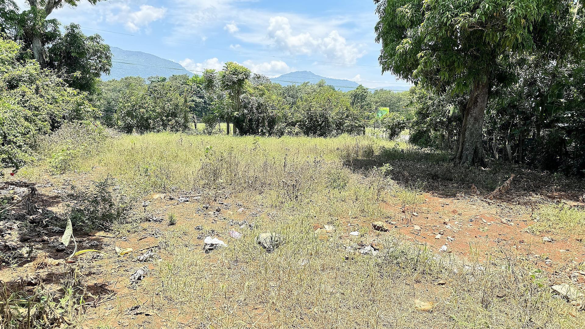 solares y terrenos - VENDO SOLAR EN JARABACOA 6