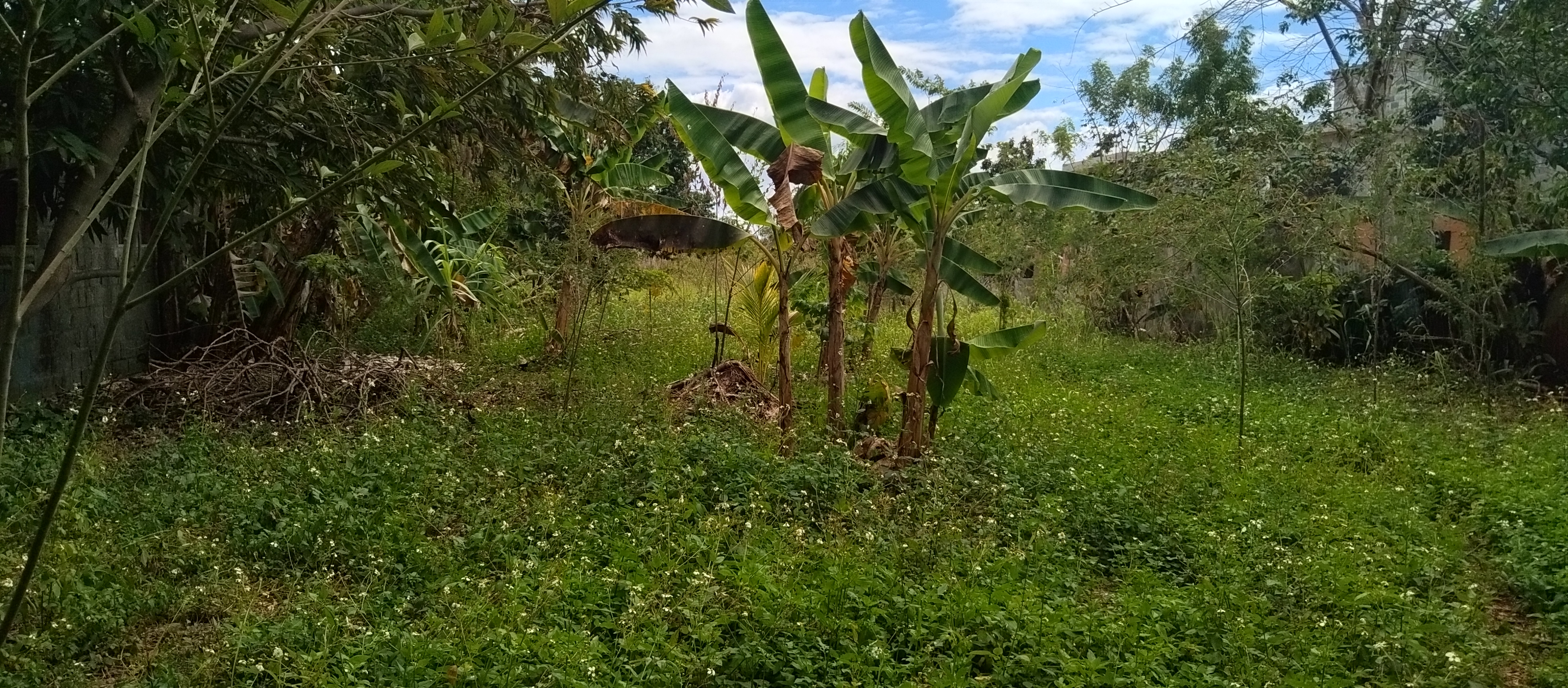 solares y terrenos - Terreno con un área de 4,100M2, La Ciénaga, Km. 14 6