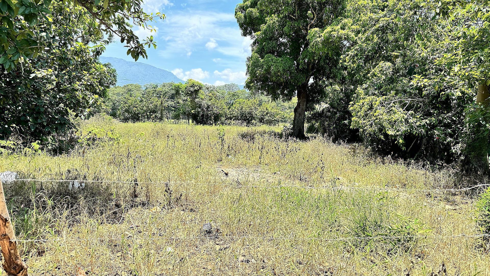 solares y terrenos - VENDO SOLAR EN JARABACOA 7