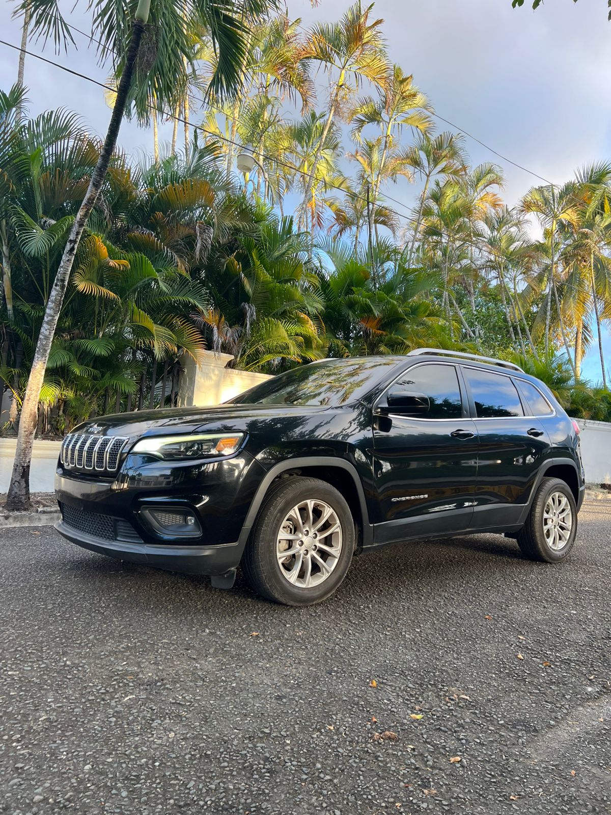 jeepetas y camionetas - jeep compass 2019 1