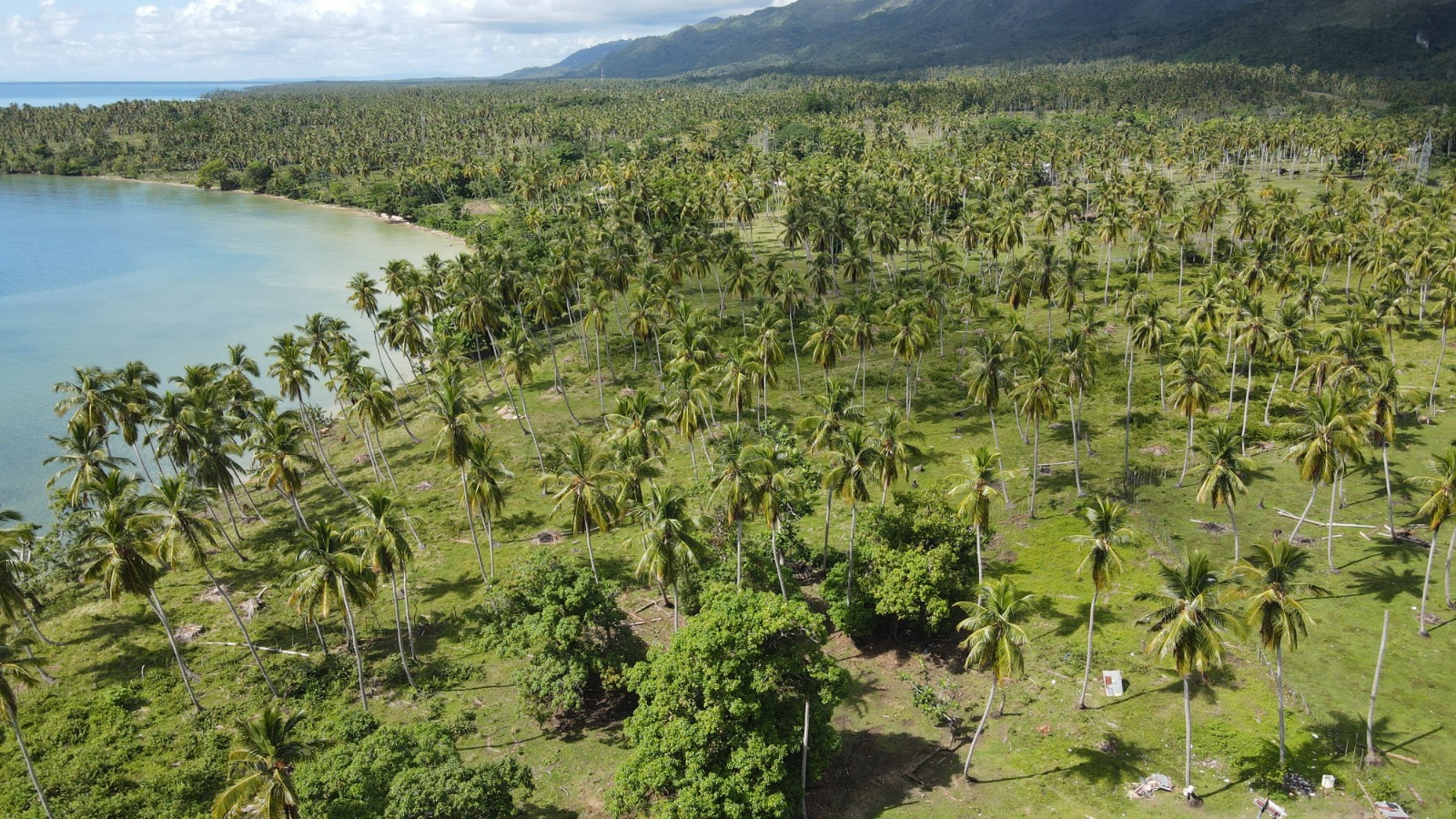 solares y terrenos -  Vendo   Terreno con 46,000.00 Mt2 en Samaná  6