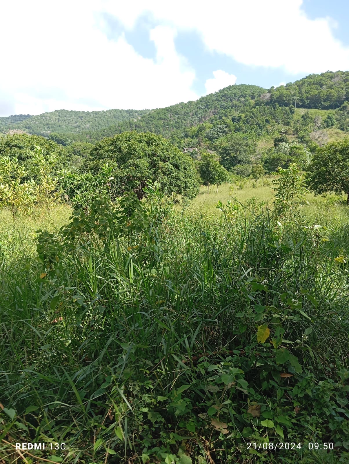 solares y terrenos - EN VENTA LOTES DE TERRENO CON VISTA A LA MONTAÑA, PEDRO BRAND 4