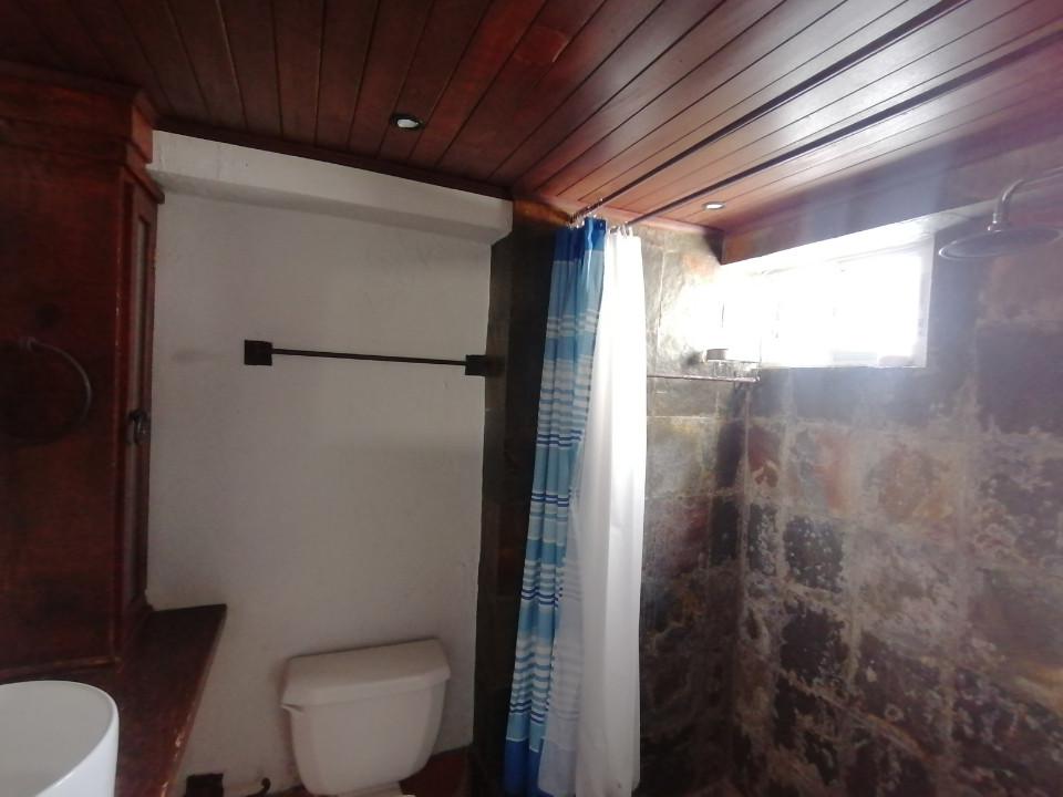 apartamentos - Apartamento en Alquiler Amueblado en PARAÍSO 5