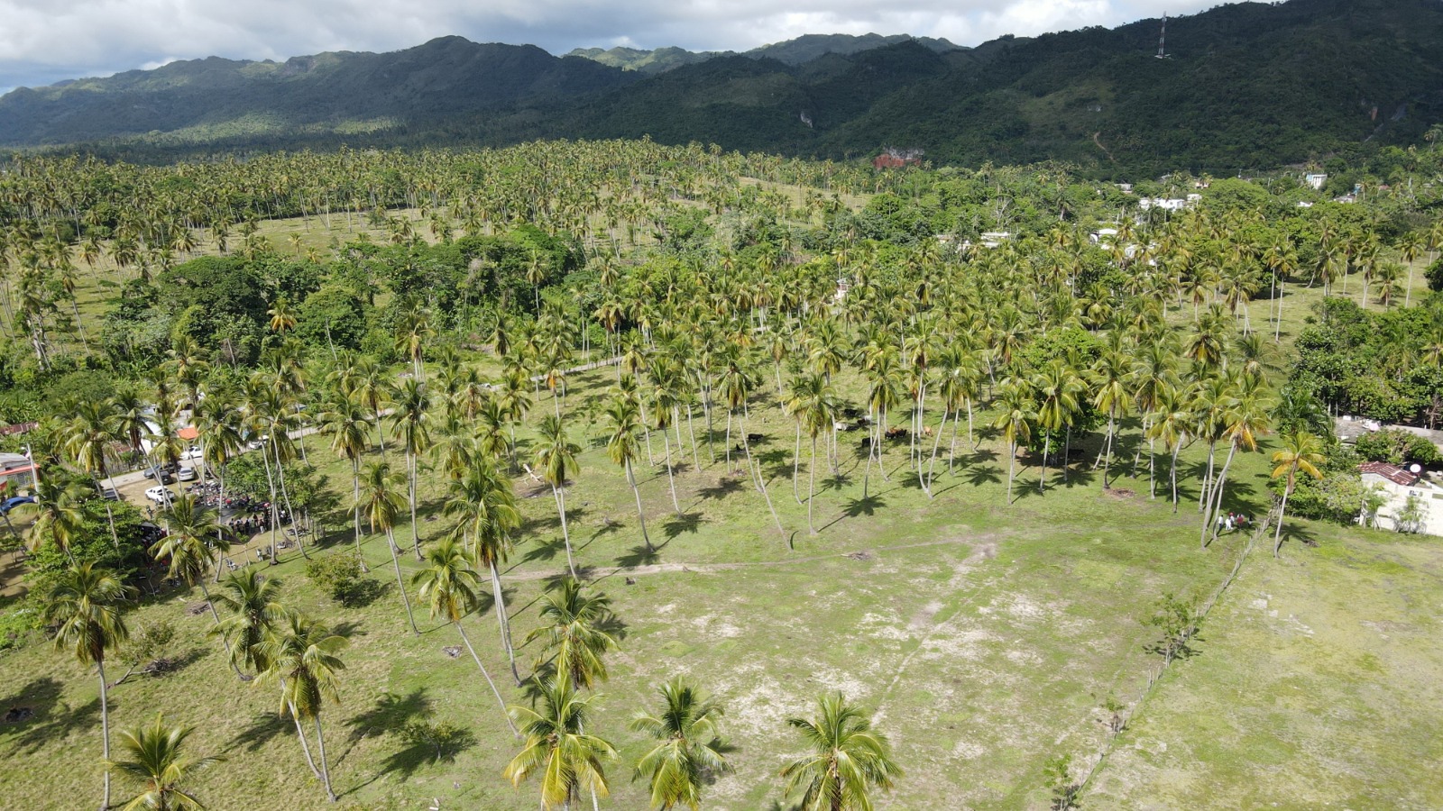 solares y terrenos -  Vendo   Terreno con 46,000.00 Mt2 en Samaná  7