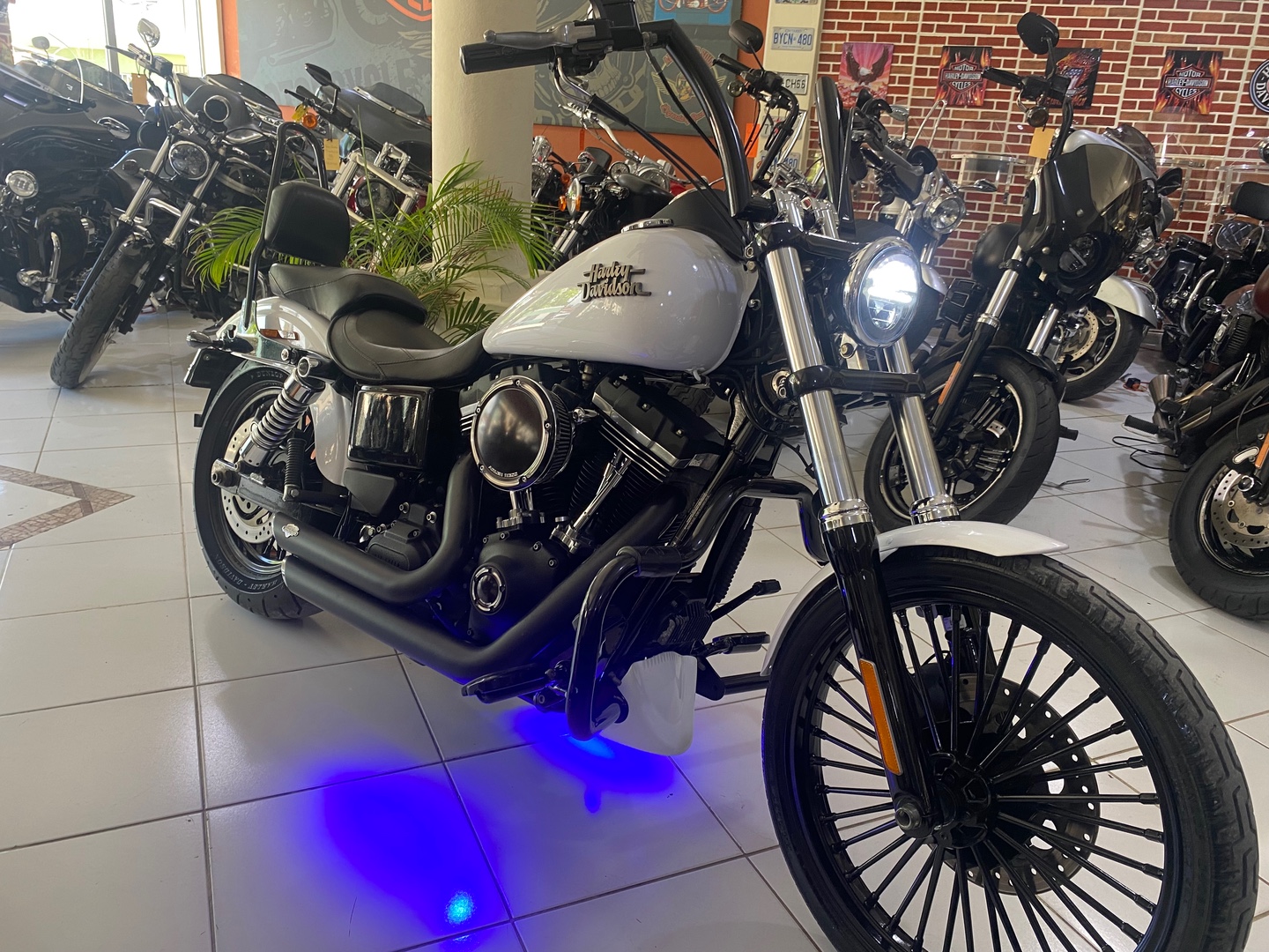 motores y pasolas - Harley Davidson Dyna Street Bob 0