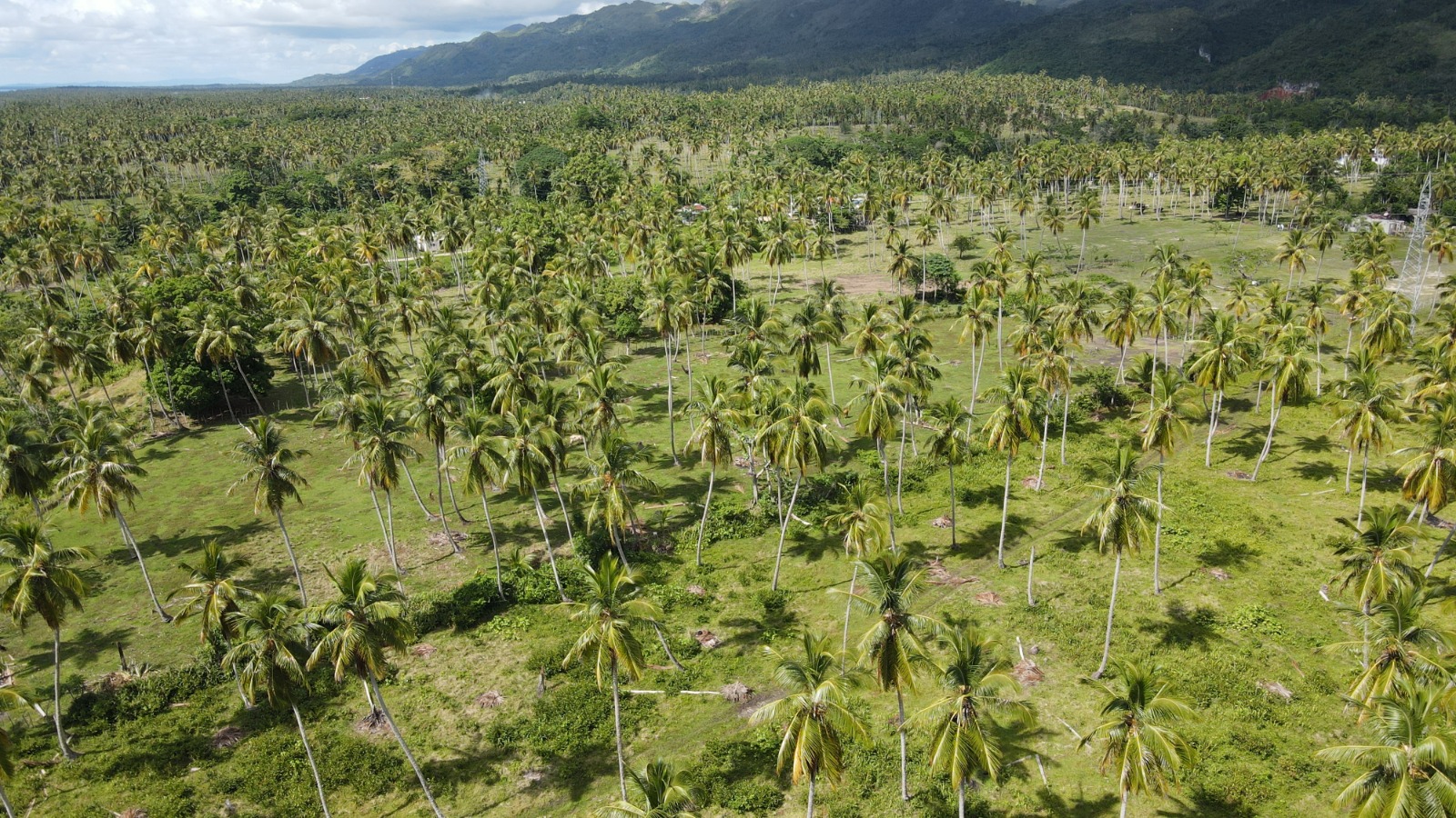 solares y terrenos -  Vendo   Terreno con 46,000.00 Mt2 en Samaná  8