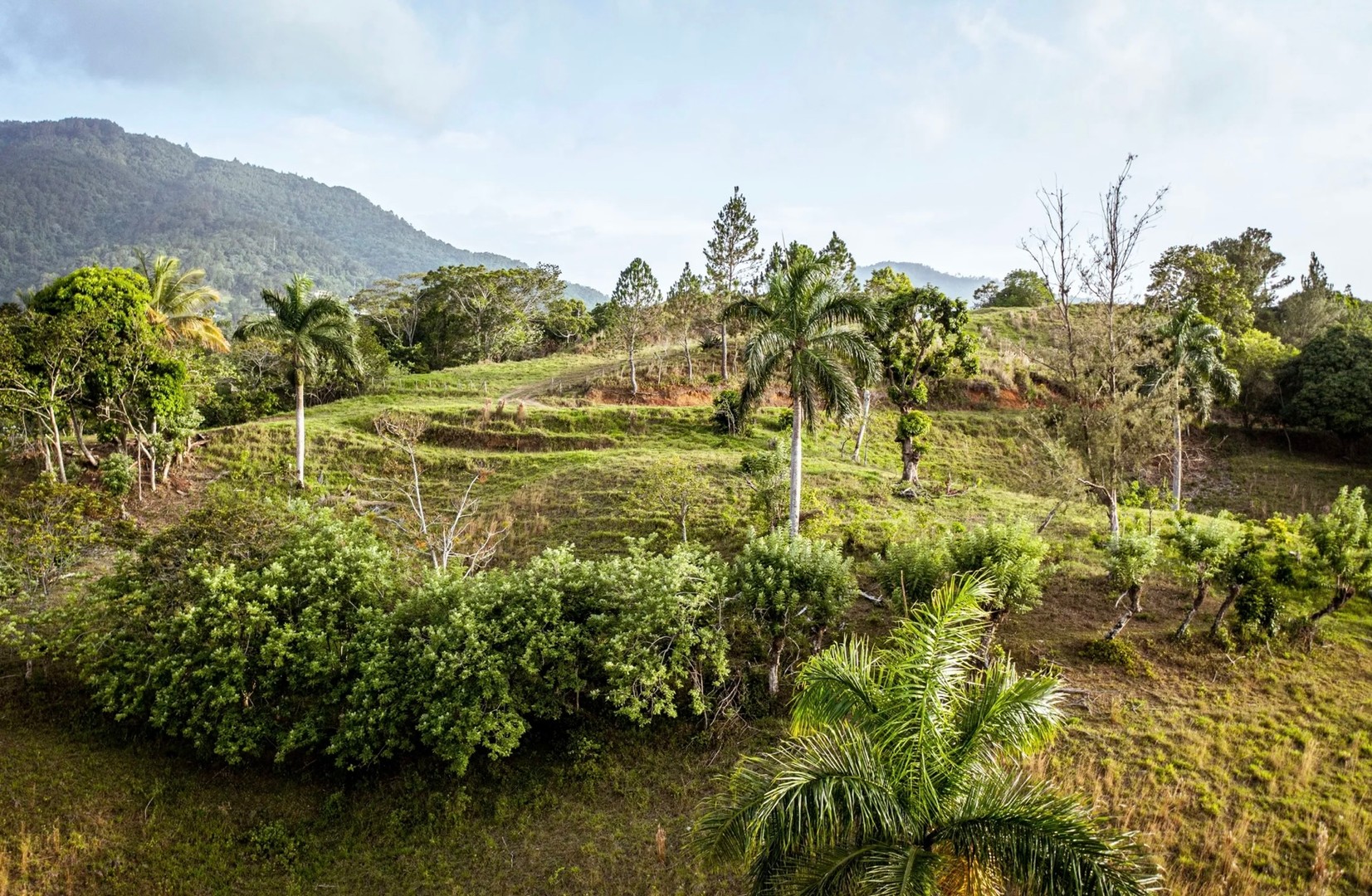 solares y terrenos - Solares y Villas disponibles en Jarabacoa 5