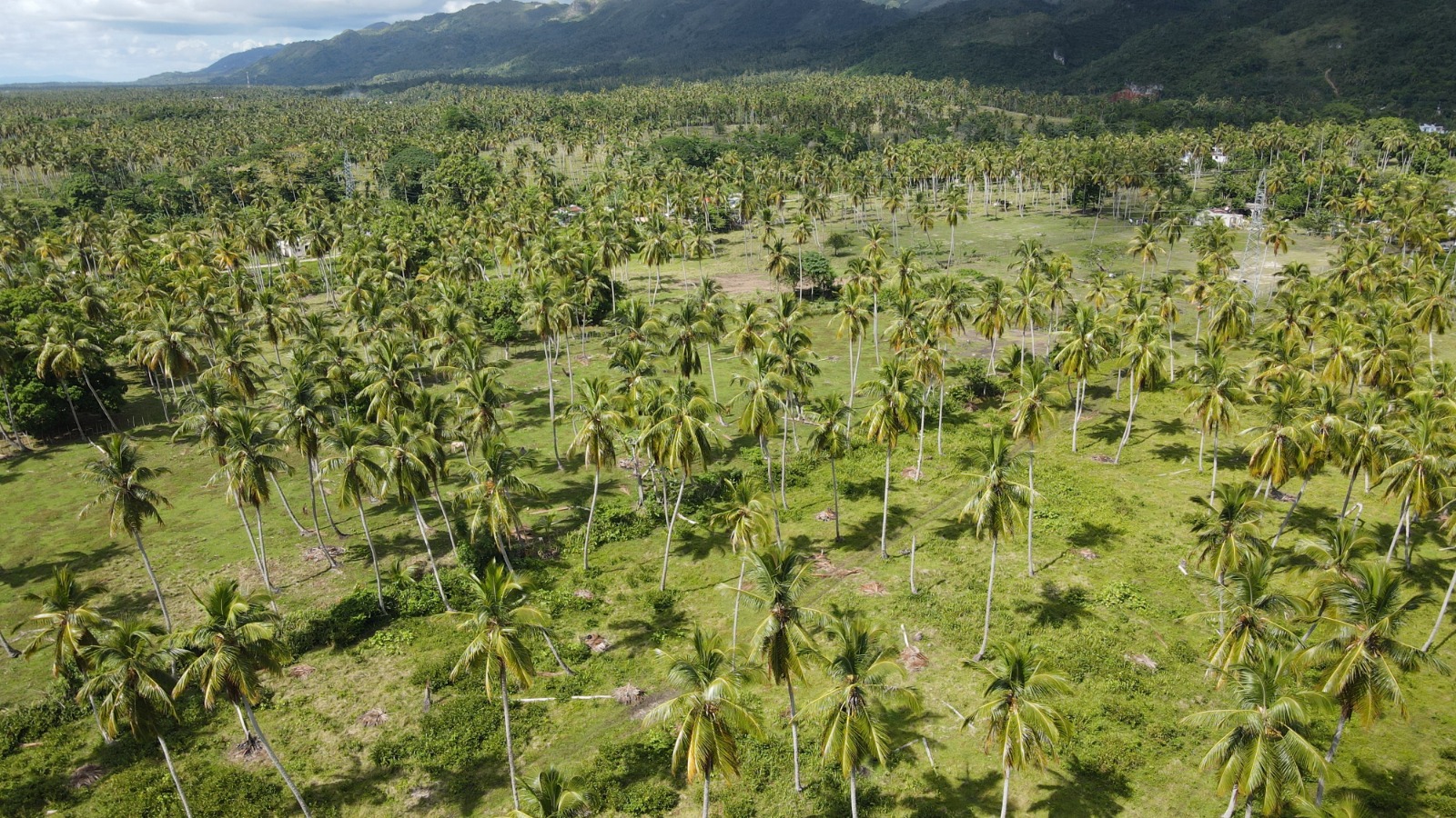 solares y terrenos -  Vendo   Terreno con 46,000.00 Mt2 en Samaná  9