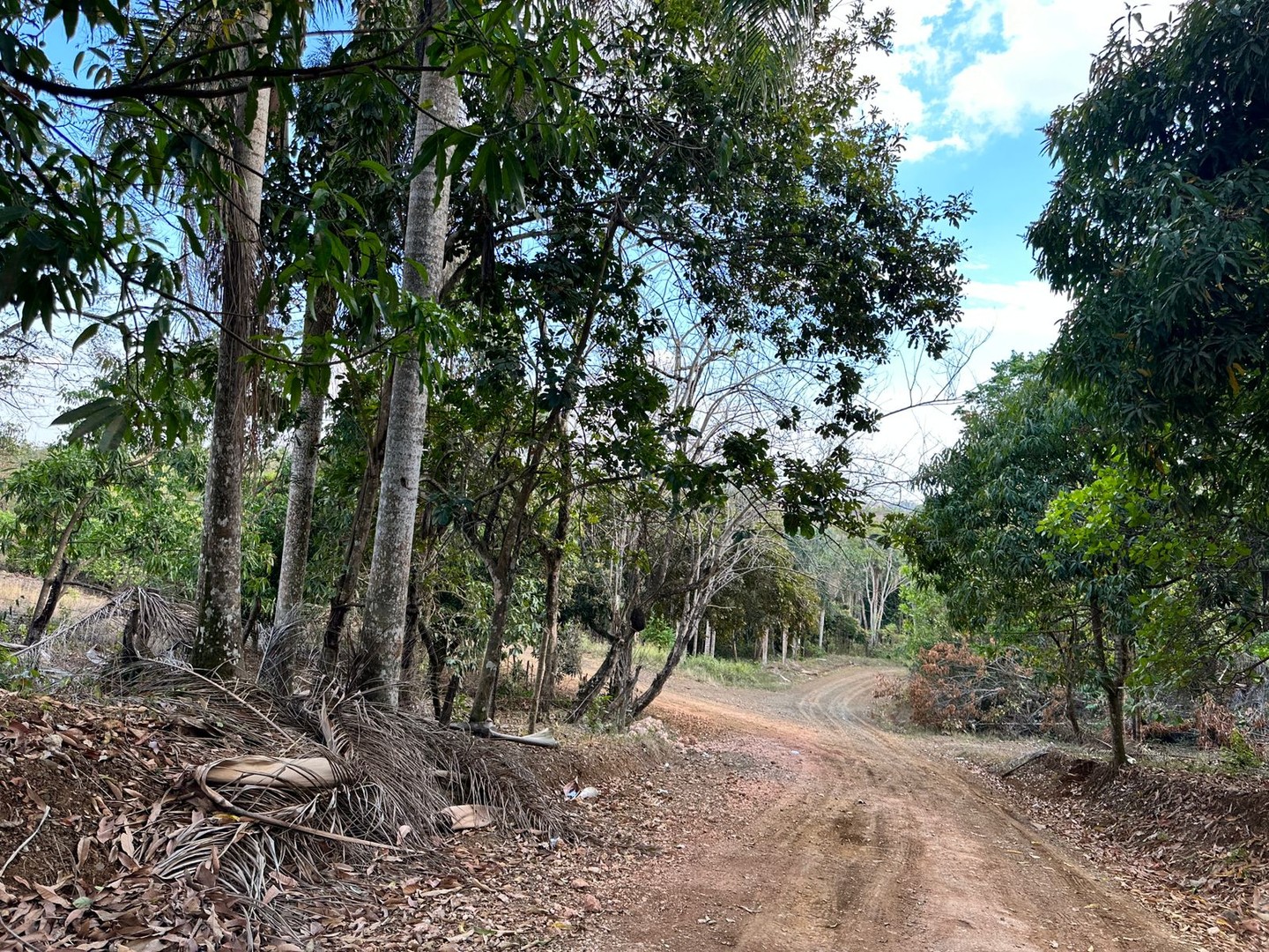 solares y terrenos - Solar de 5,000 m2 en Santo Domingo, Vacacional Matua  2