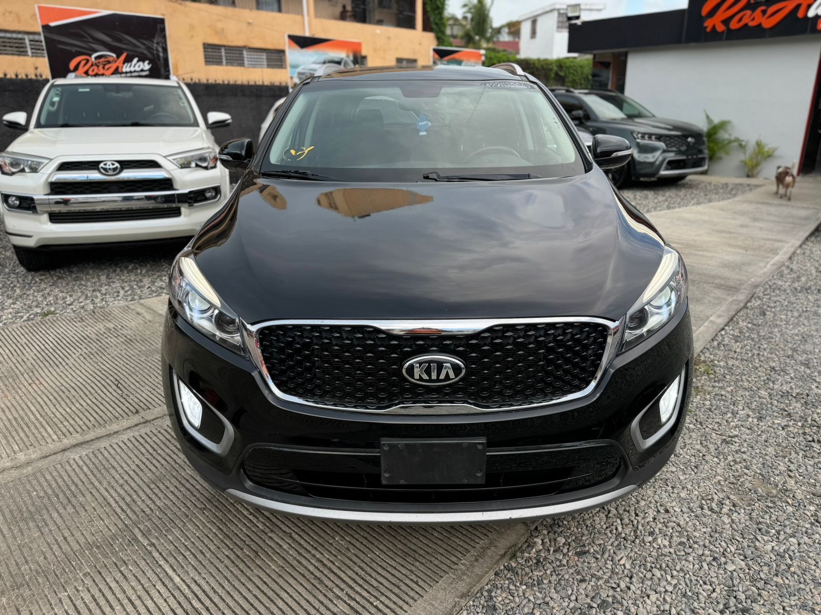 jeepetas y camionetas - Kia Sorento EX 2018 1