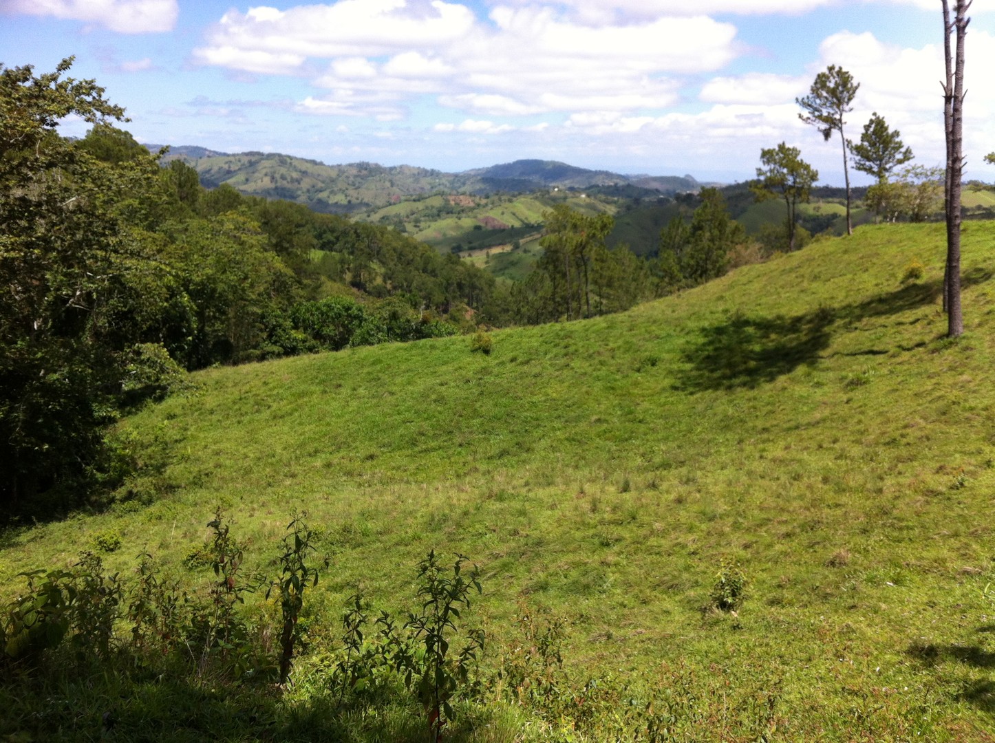 solares y terrenos - Finca en Jarabacoa 1