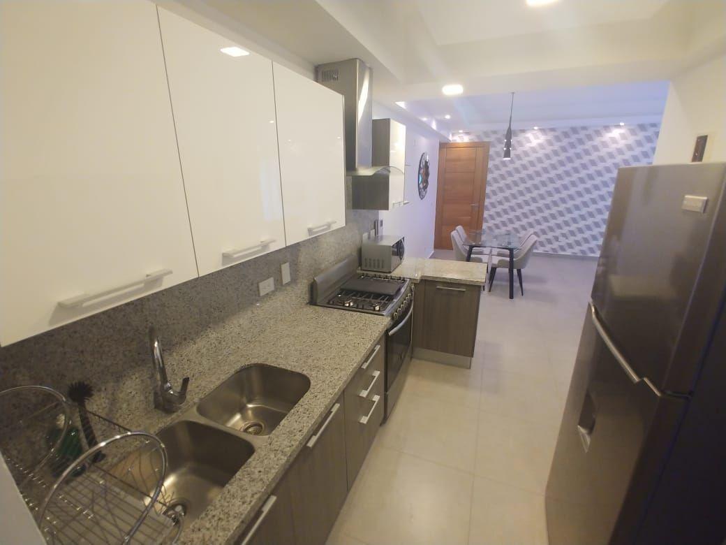 apartamentos - Alquilo apartamento amueblado de 1 hab - Naco 6