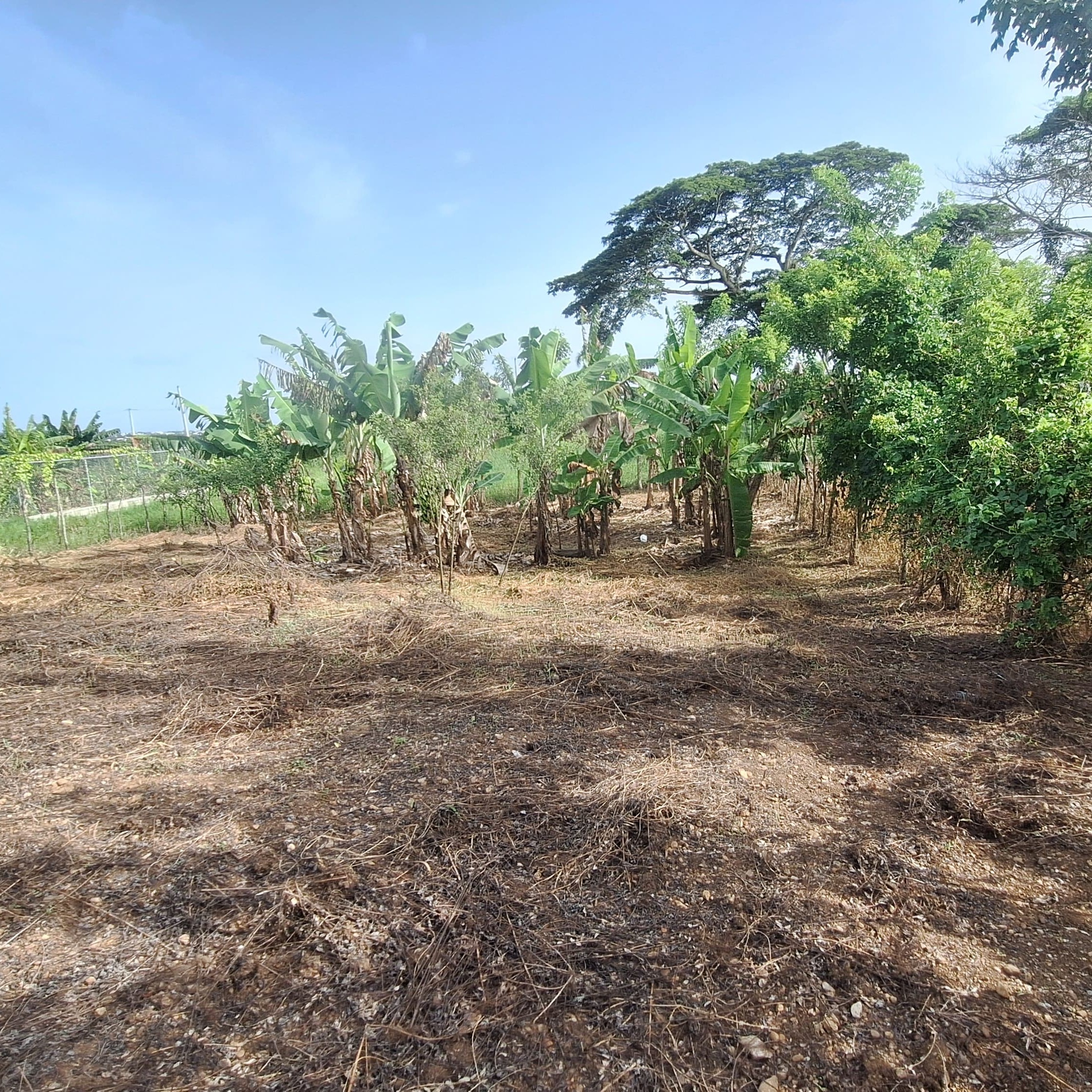 solares y terrenos - Solar en venta en Los Arroyos