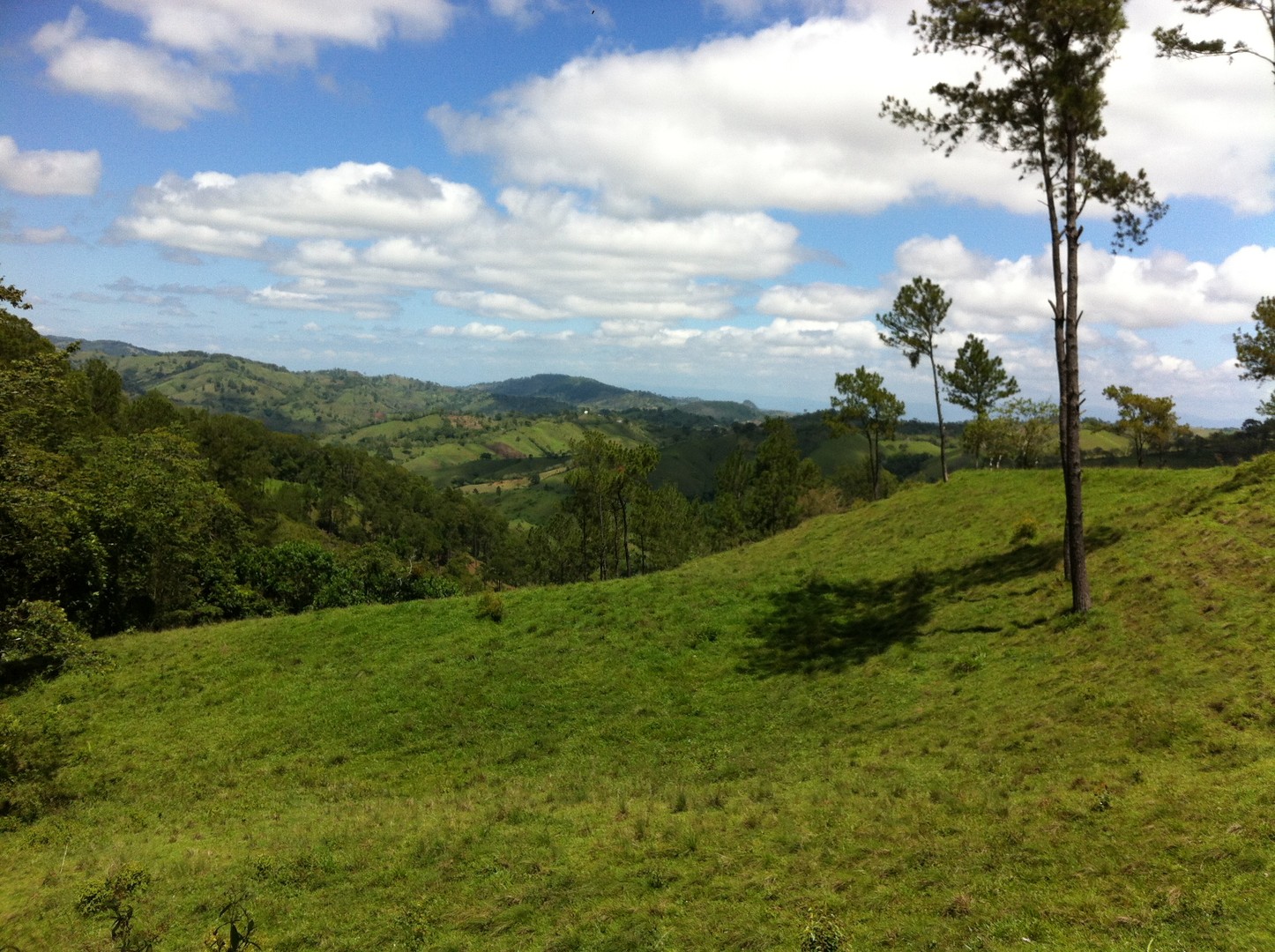 solares y terrenos - Finca en Jarabacoa 2