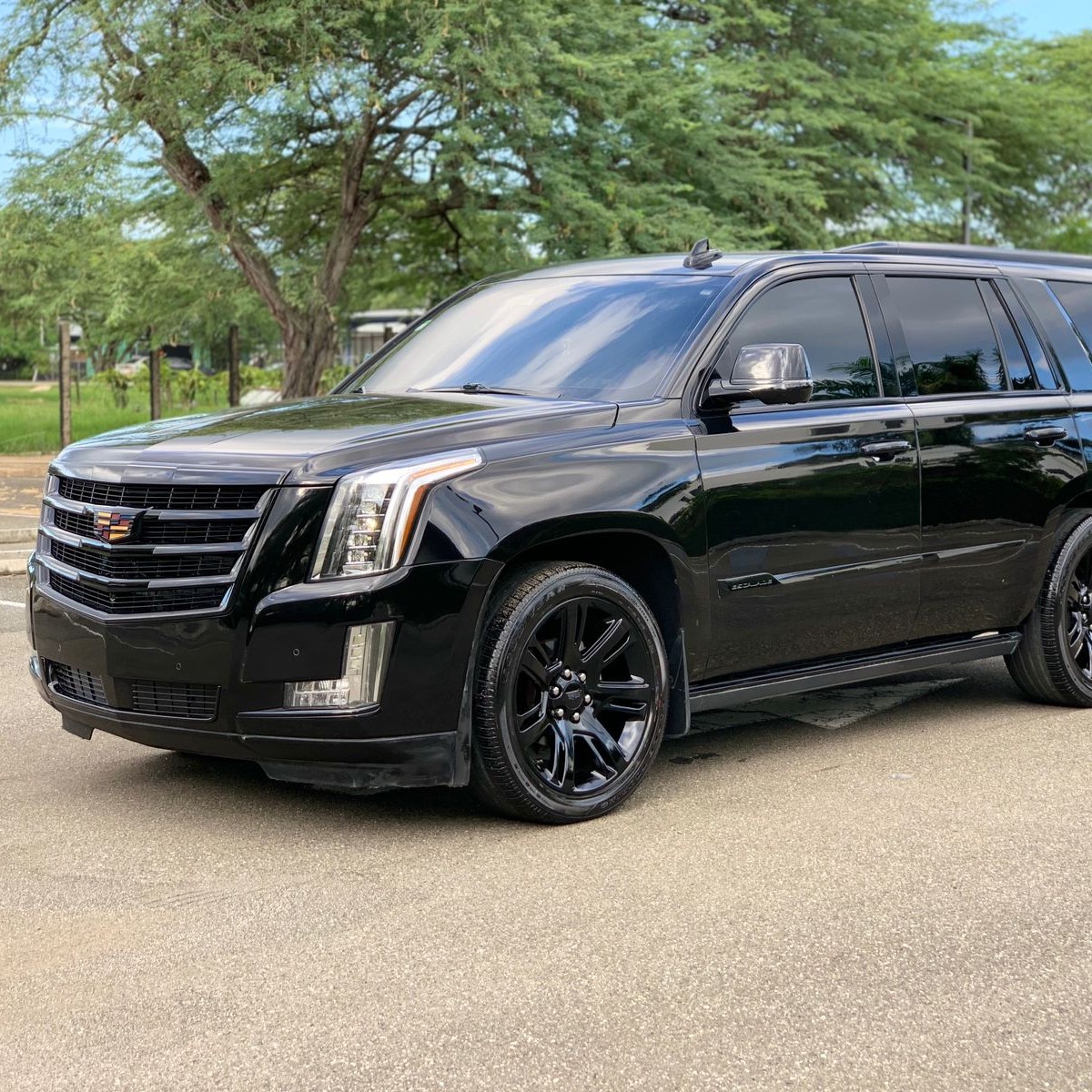 jeepetas y camionetas - cadillac escalade 2015 premiun  0