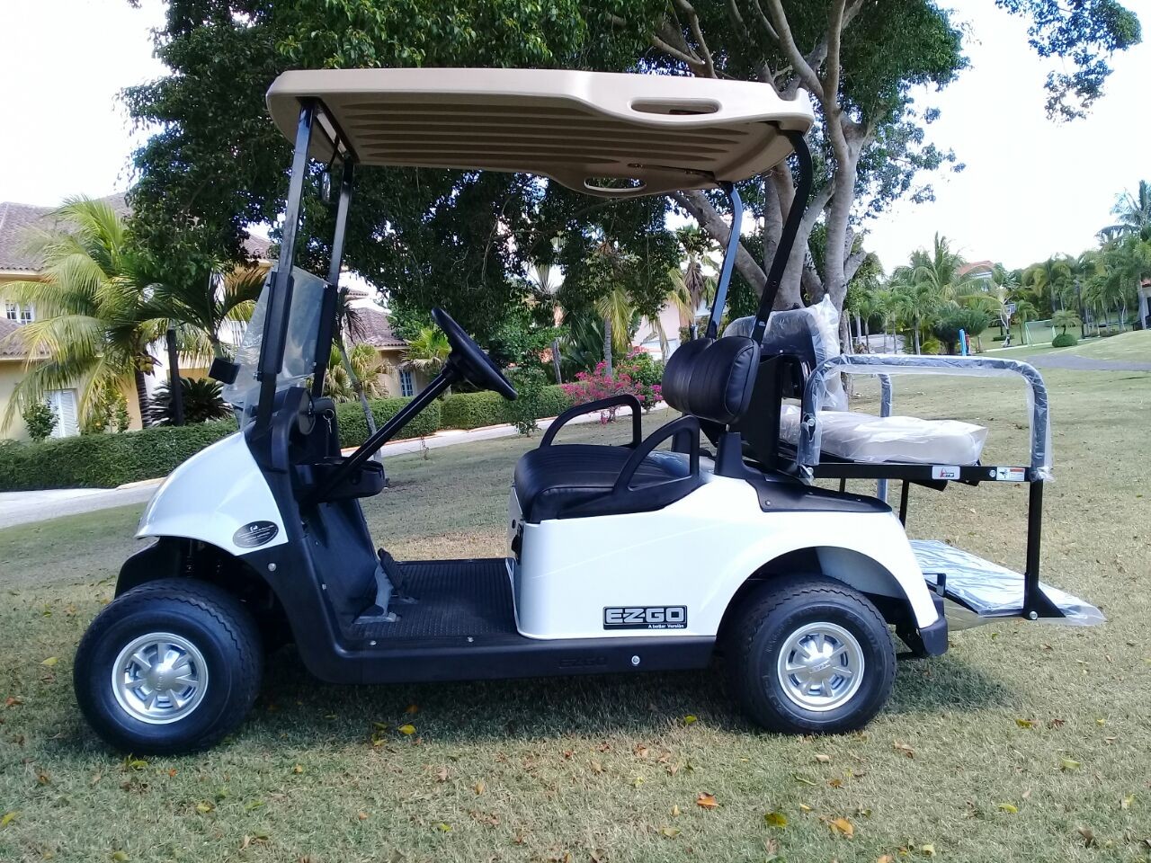 vehiculos recreativos - Carro de Golf, Carritos de Golf, Golf cart 1