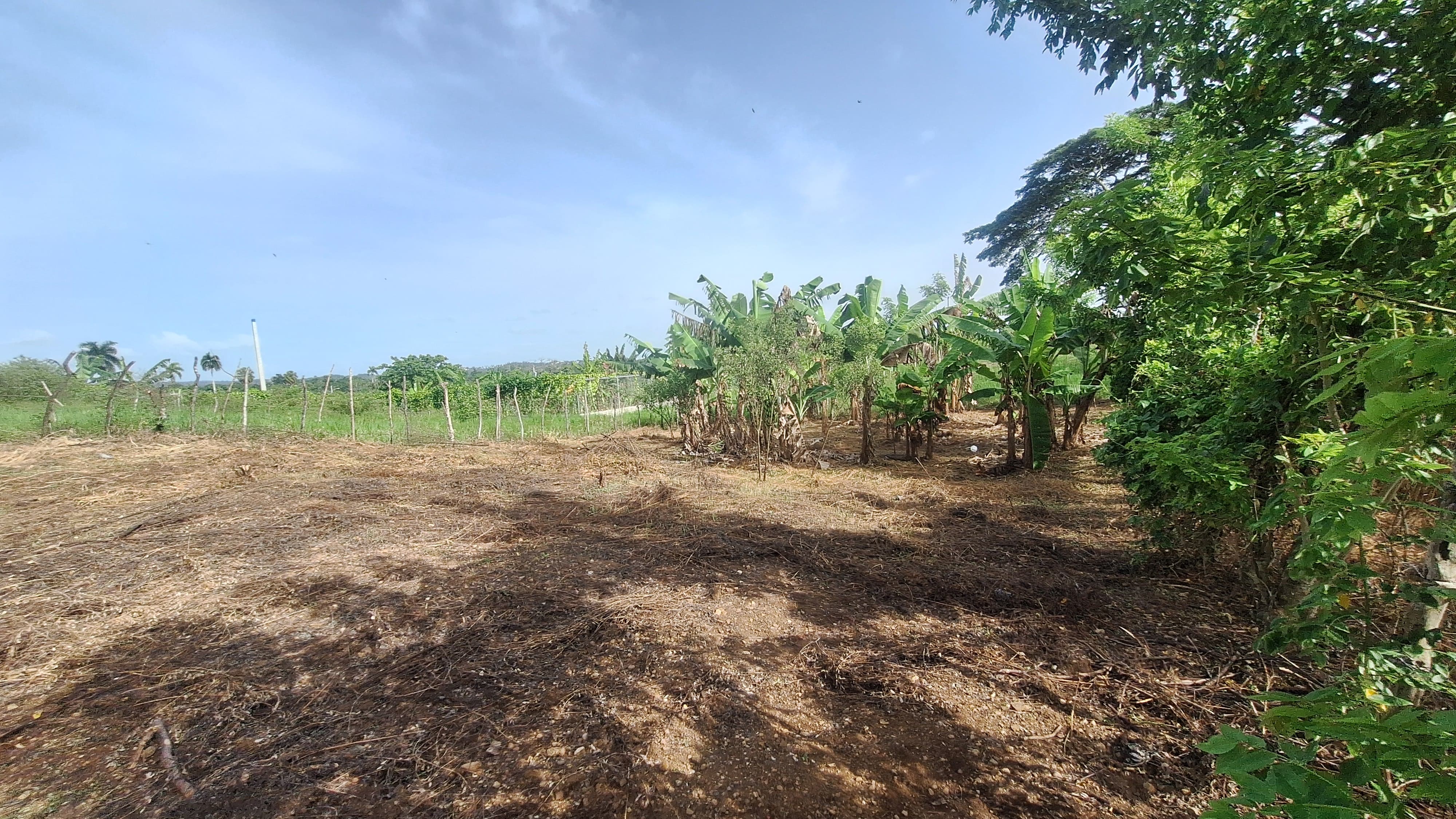 solares y terrenos - Solar en venta en Los Arroyos 1