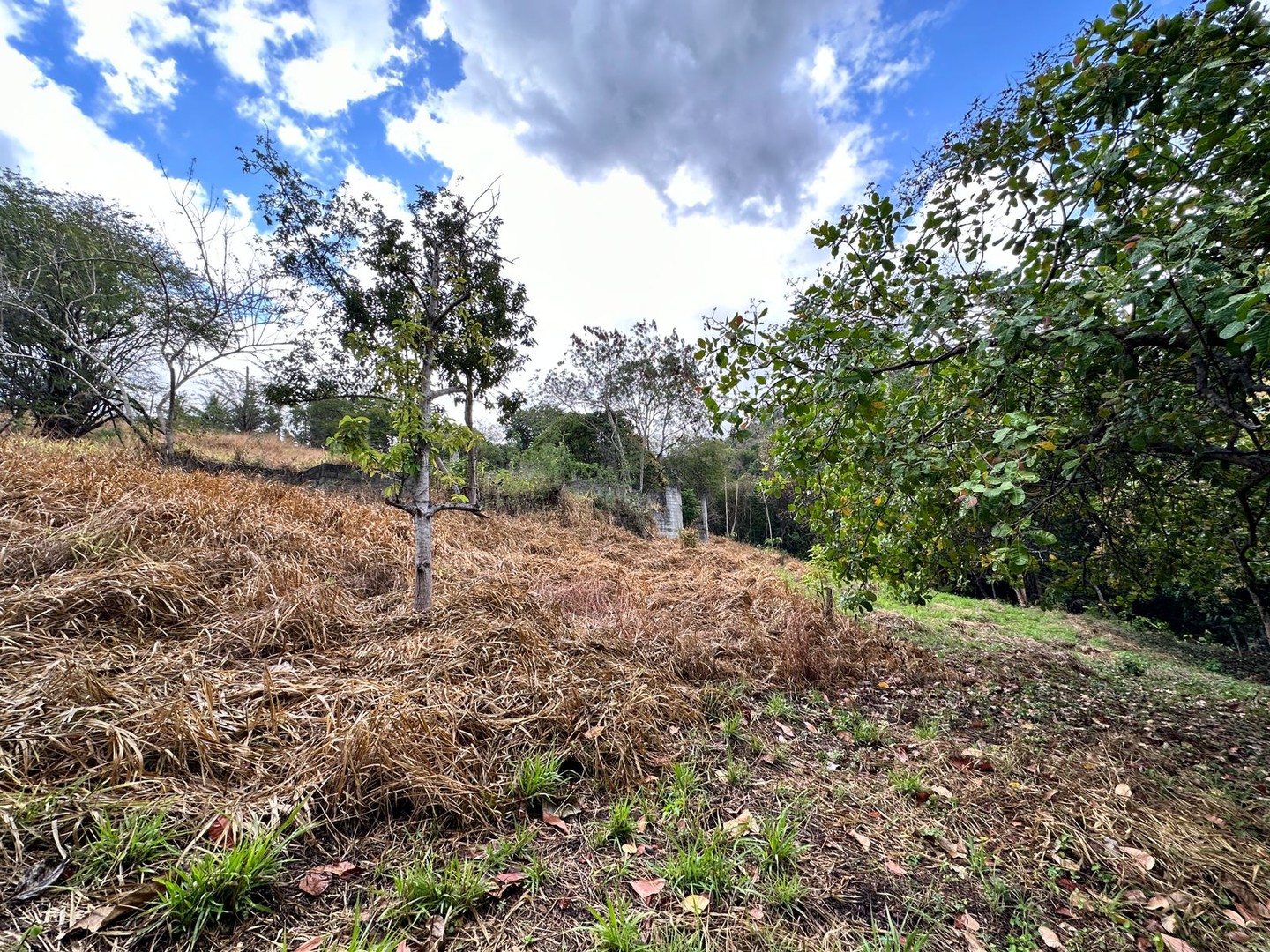 solares y terrenos - Solar de 5,000 m2 en Santo Domingo, Vacacional Matua  4