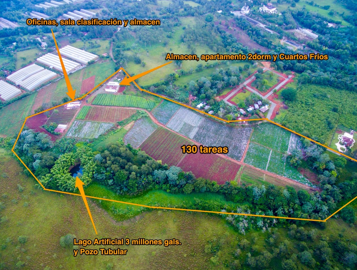 solares y terrenos - Solares en Venta en Jarabacoa