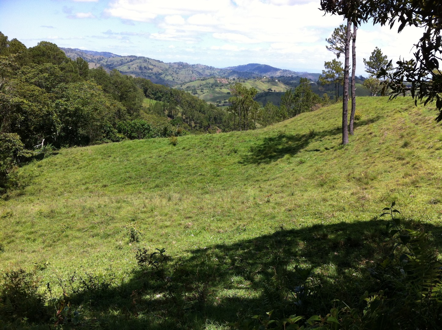 solares y terrenos - Finca en Jarabacoa 4