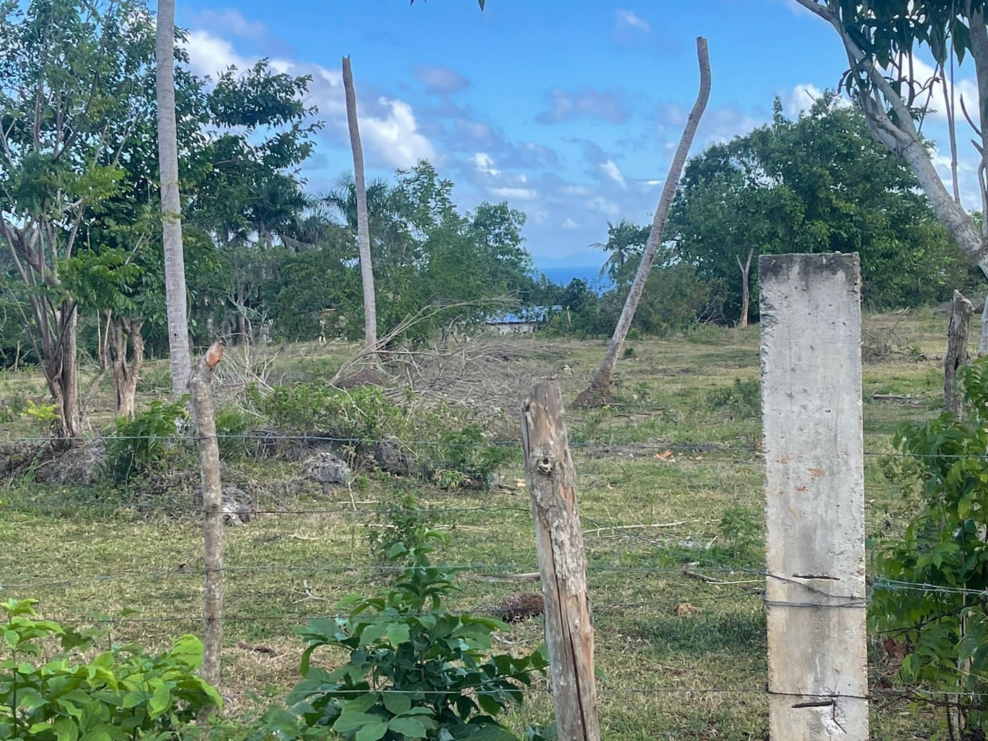 solares y terrenos - Terreno en Venta 12,161 Mts2 en Samaná  4