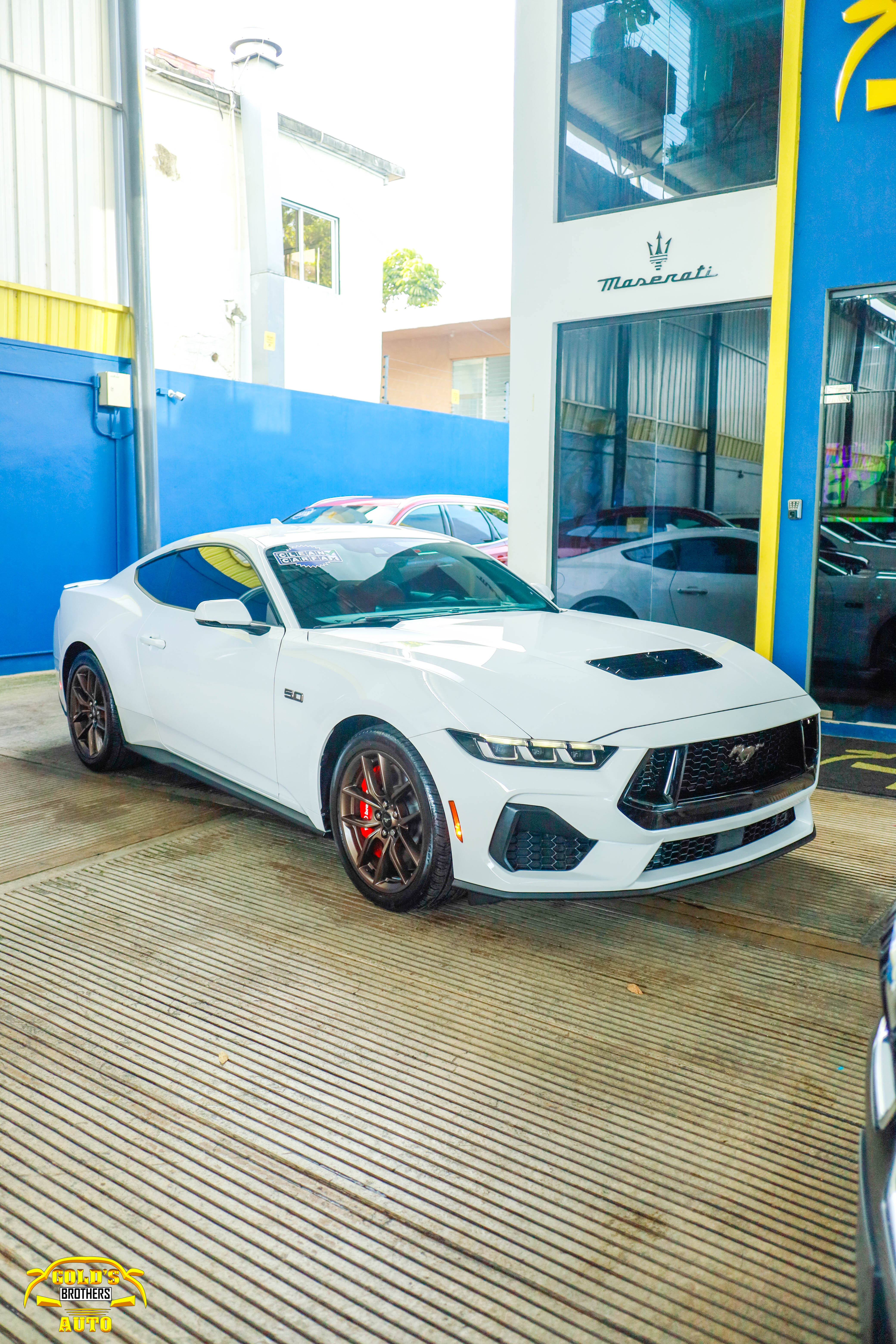 carros - Ford Mustang GT Premium 2024 Clean Carfax