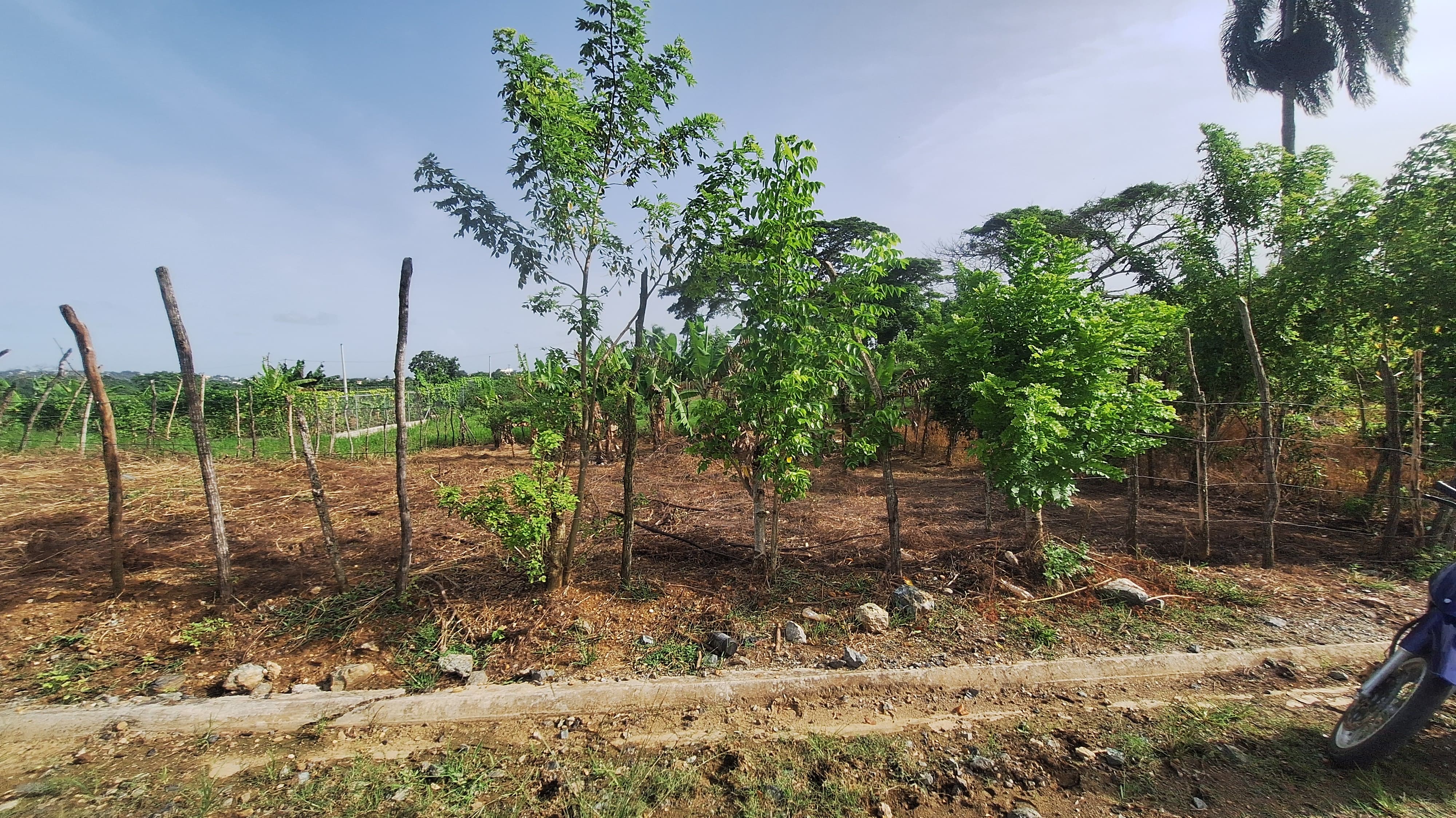 solares y terrenos - Solar en venta en Los Arroyos 3